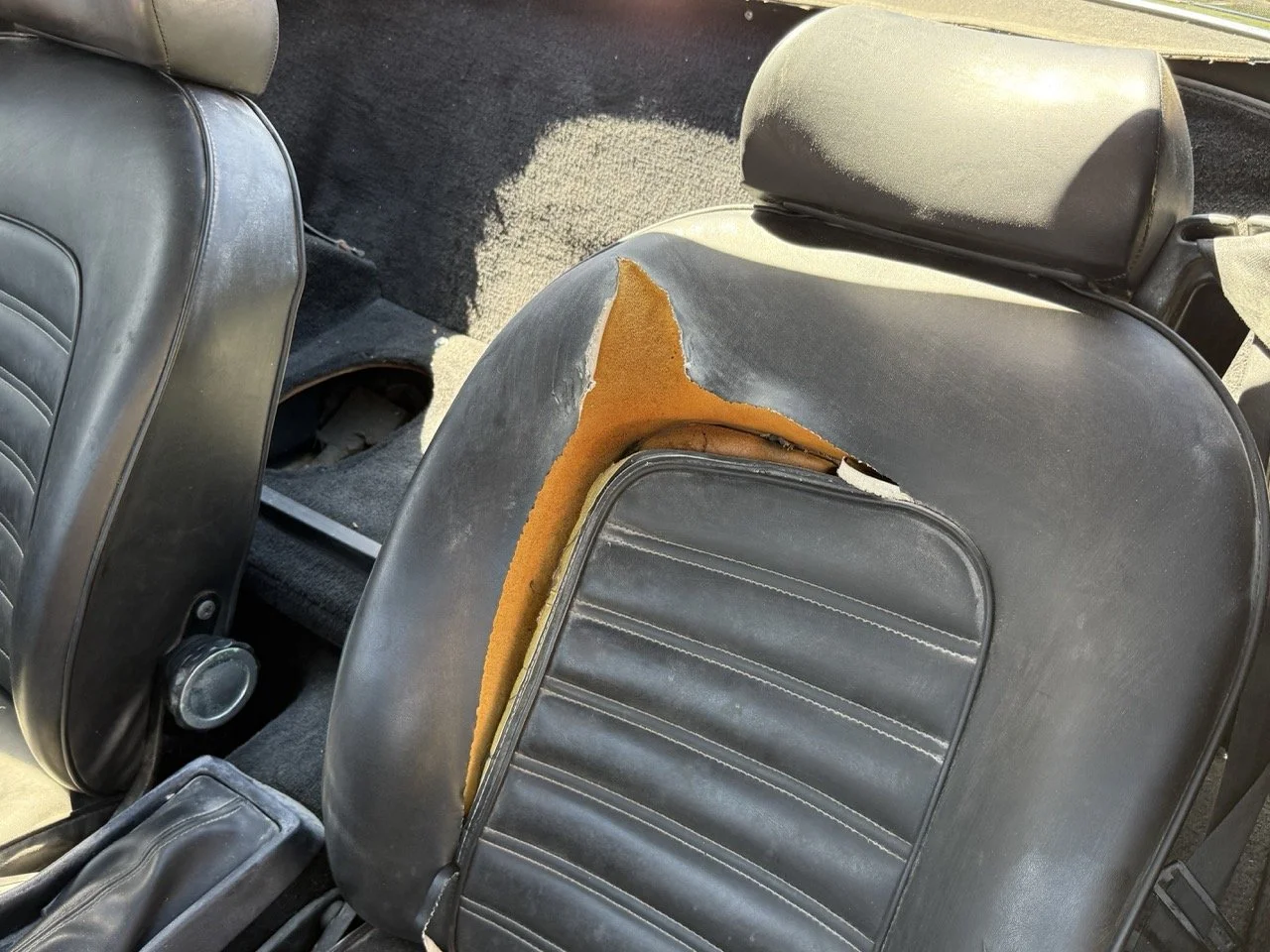 IMG_2186 – grande.jpeg