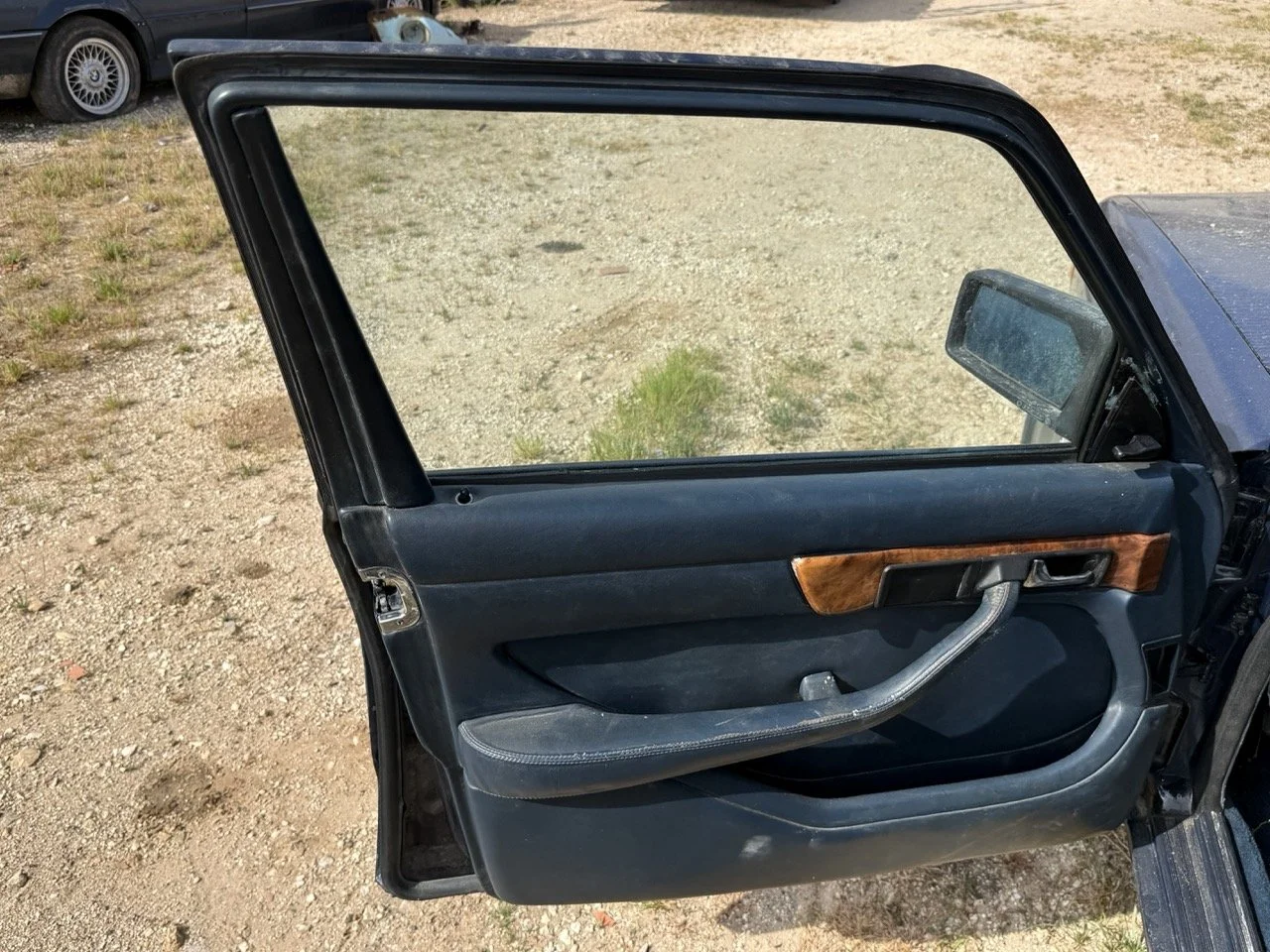 IMG_3424 – grande.jpeg