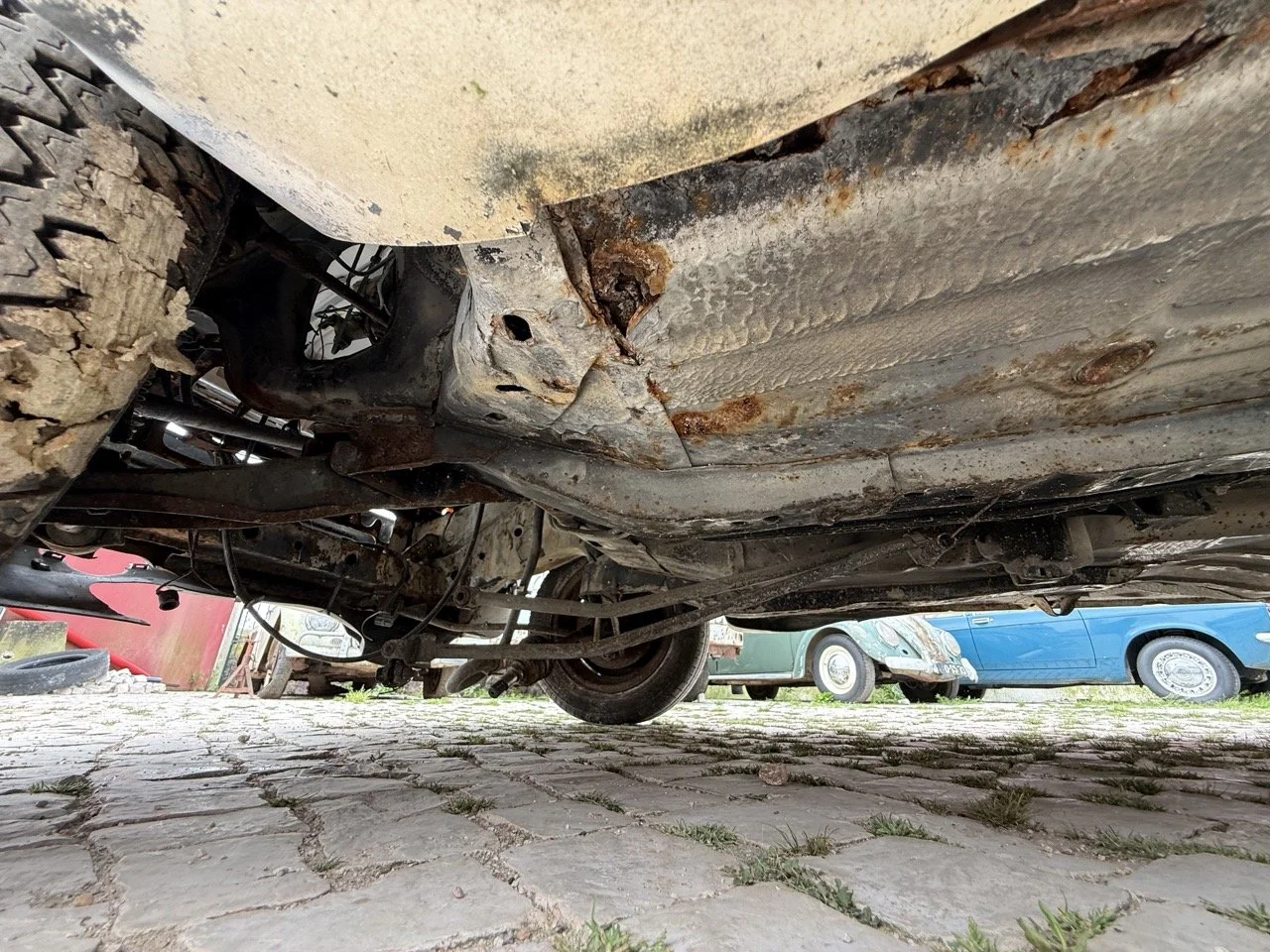 IMG_8626 – grande.jpeg