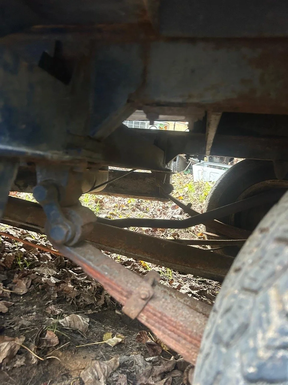 e94562d7-366b-45ff-9870-13f91cd516a8 – grande.jpeg