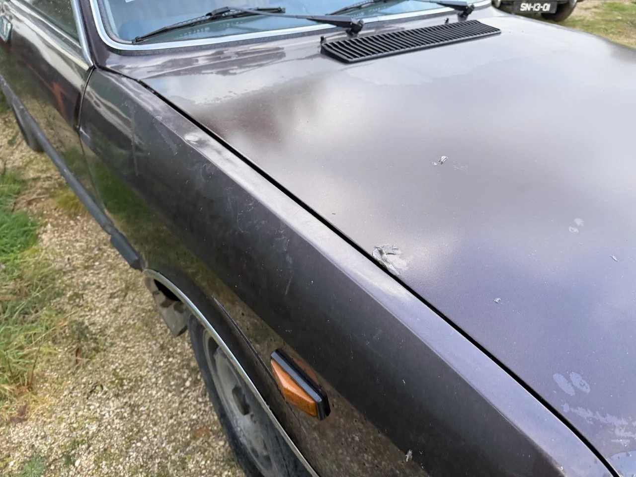 IMG_5258 – grande.jpeg