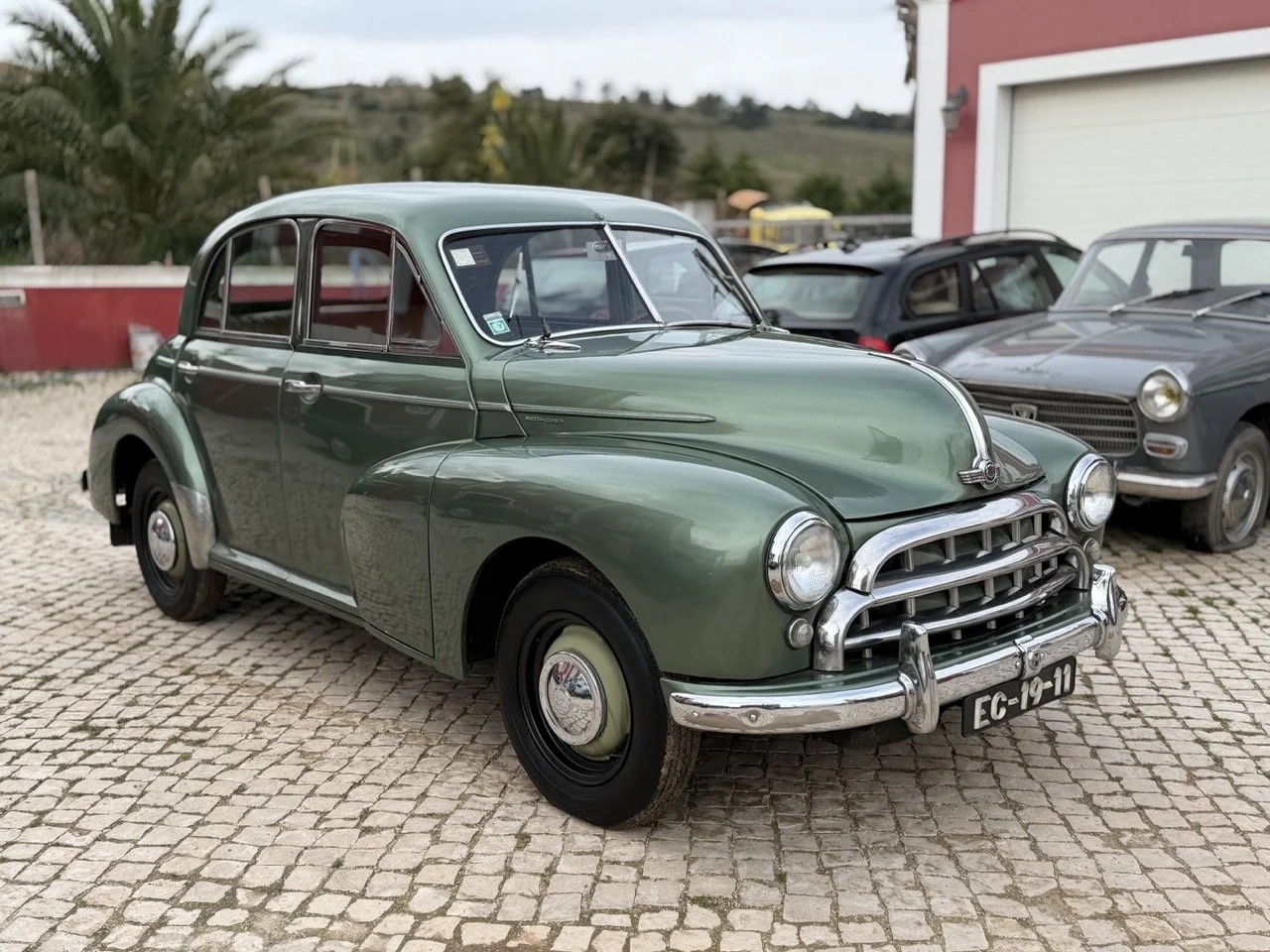 IMG_9811 – grande.jpeg