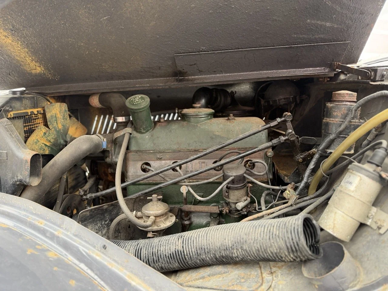 IMG_1854 – grande.jpeg