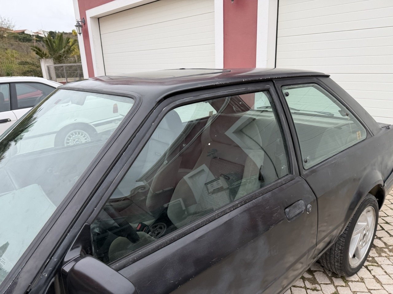 IMG_1300 – grande.jpeg