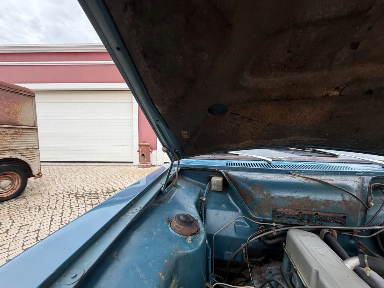 IMG_6307 – grande.jpeg