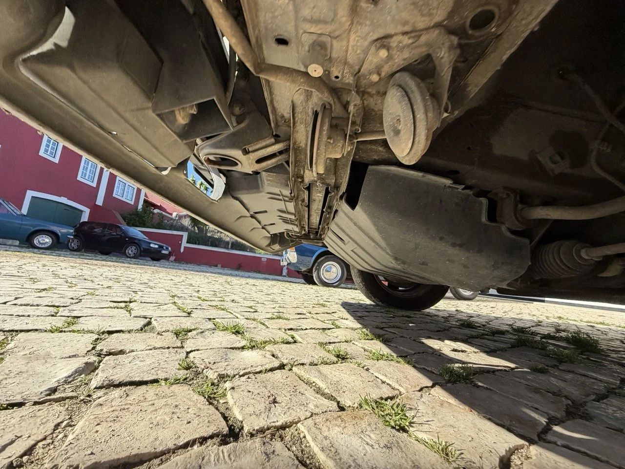 IMG_2058 – grande.jpeg