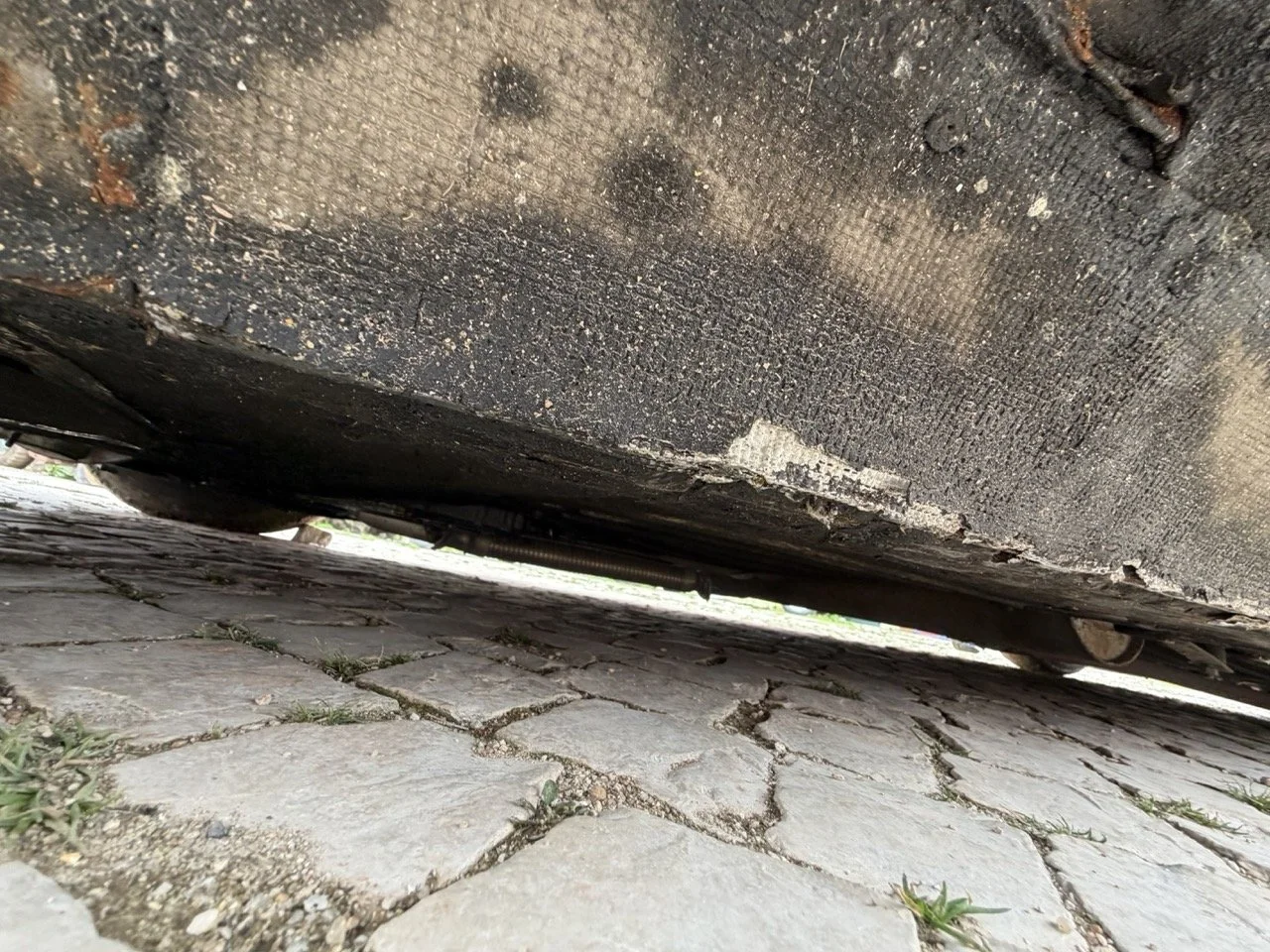 IMG_3778 – grande.jpeg