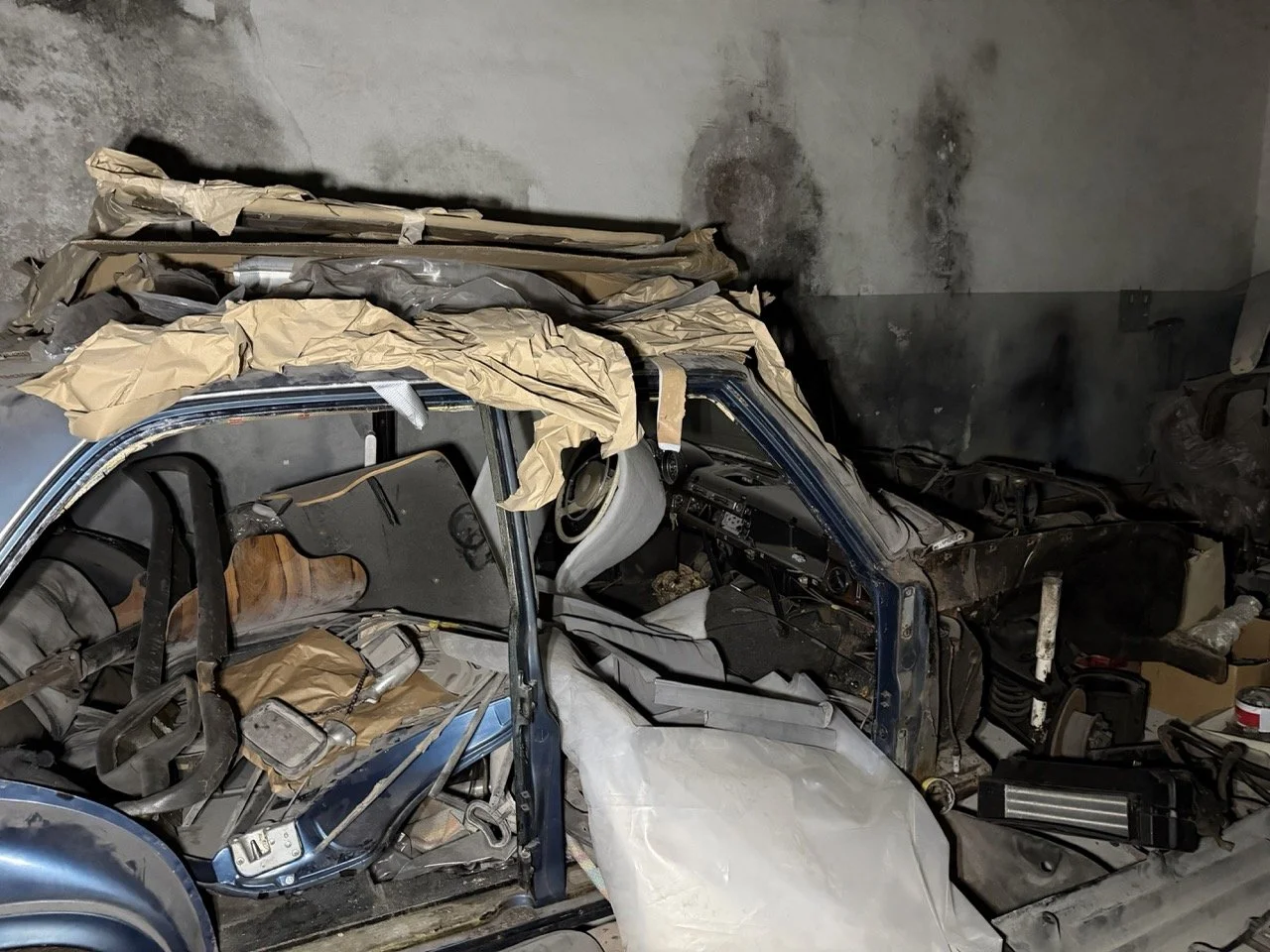 IMG_4256 – grande.jpeg