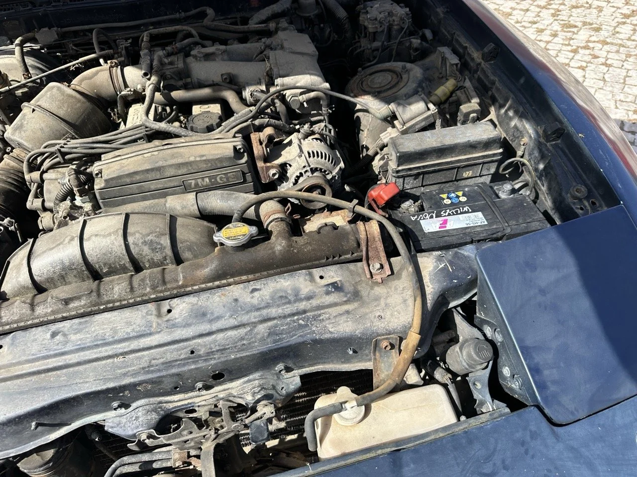 IMG_7203 – grande.jpeg