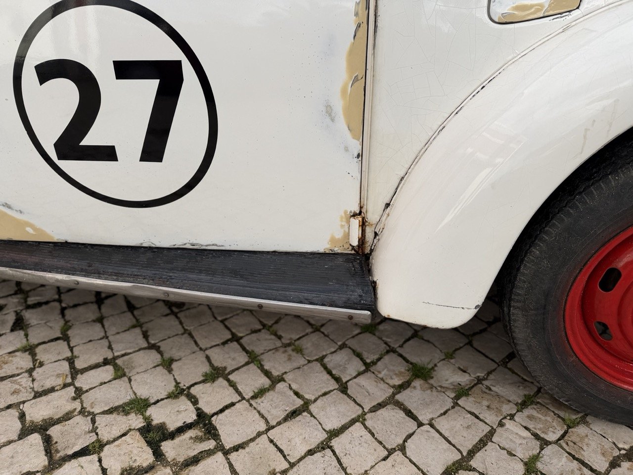 IMG_8667 – grande.jpeg