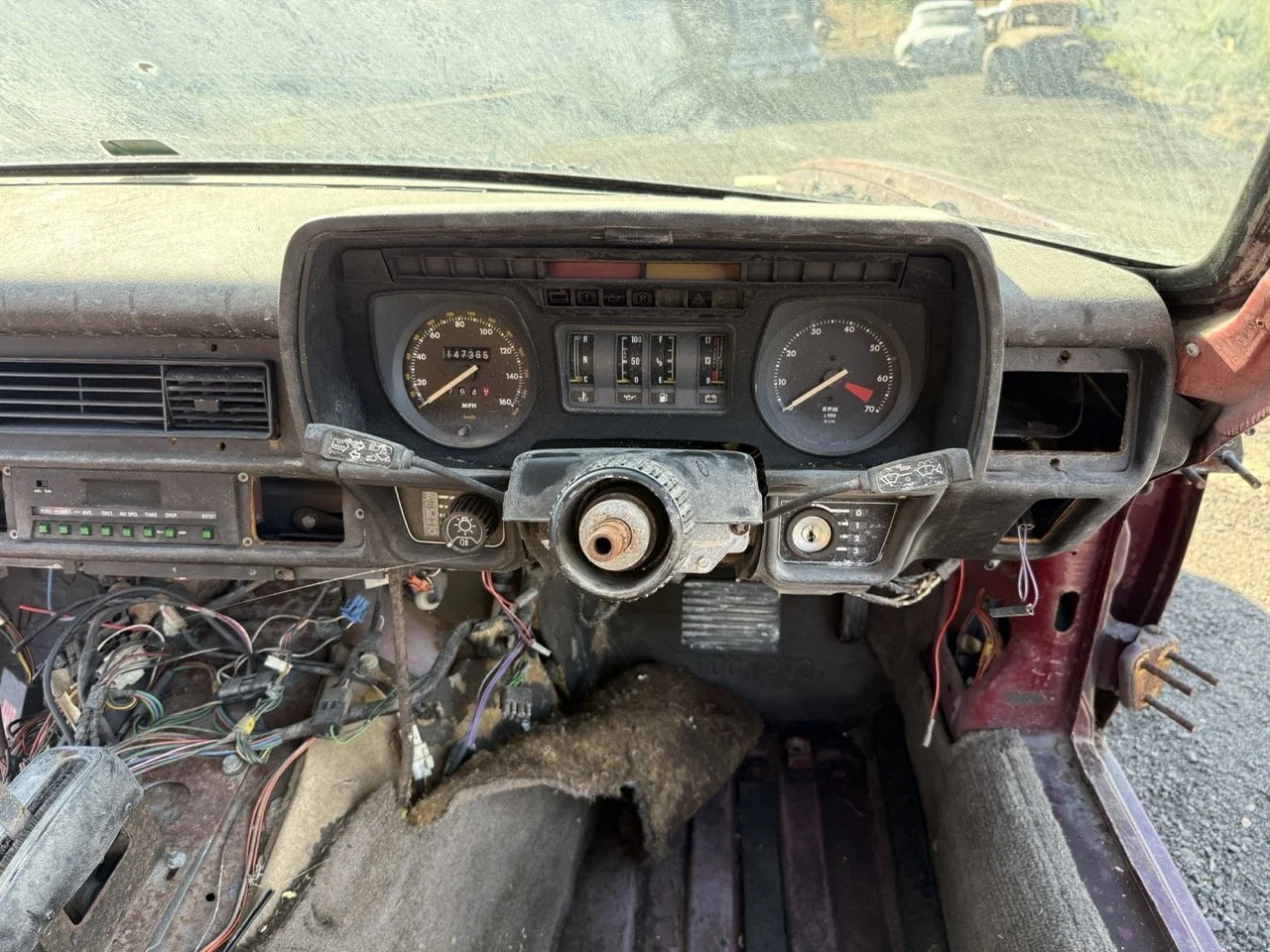 IMG_2979 – grande.jpeg