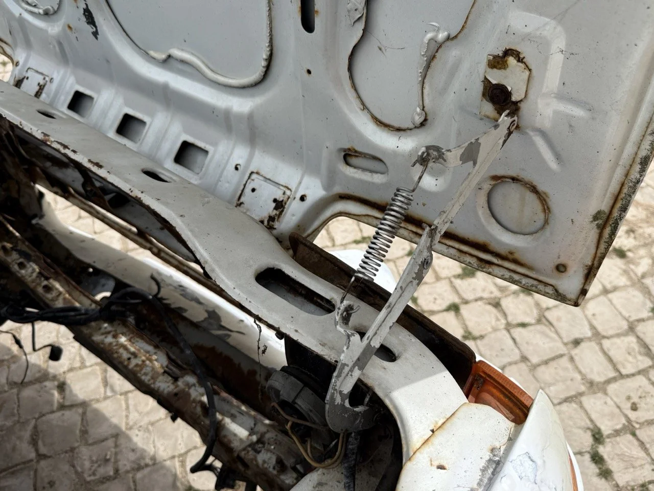 IMG_8558 – grande.jpeg