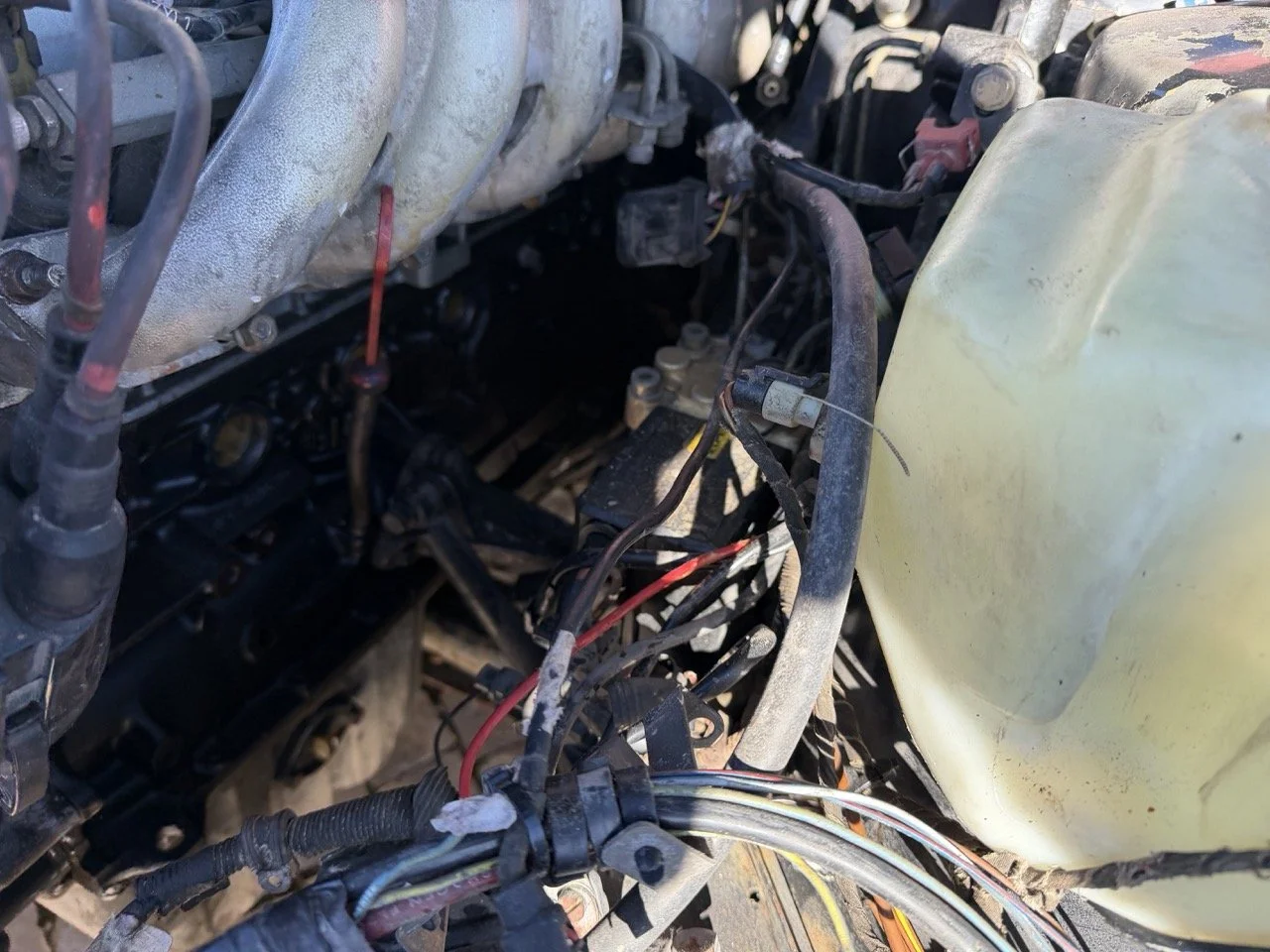 IMG_2760 – grande.jpeg