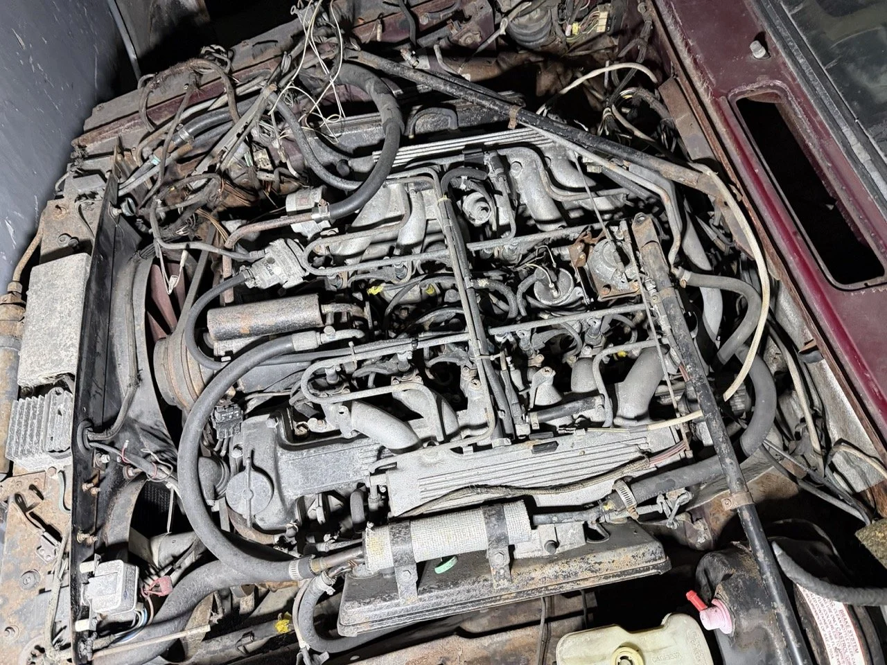 IMG_4236 – grande.jpeg