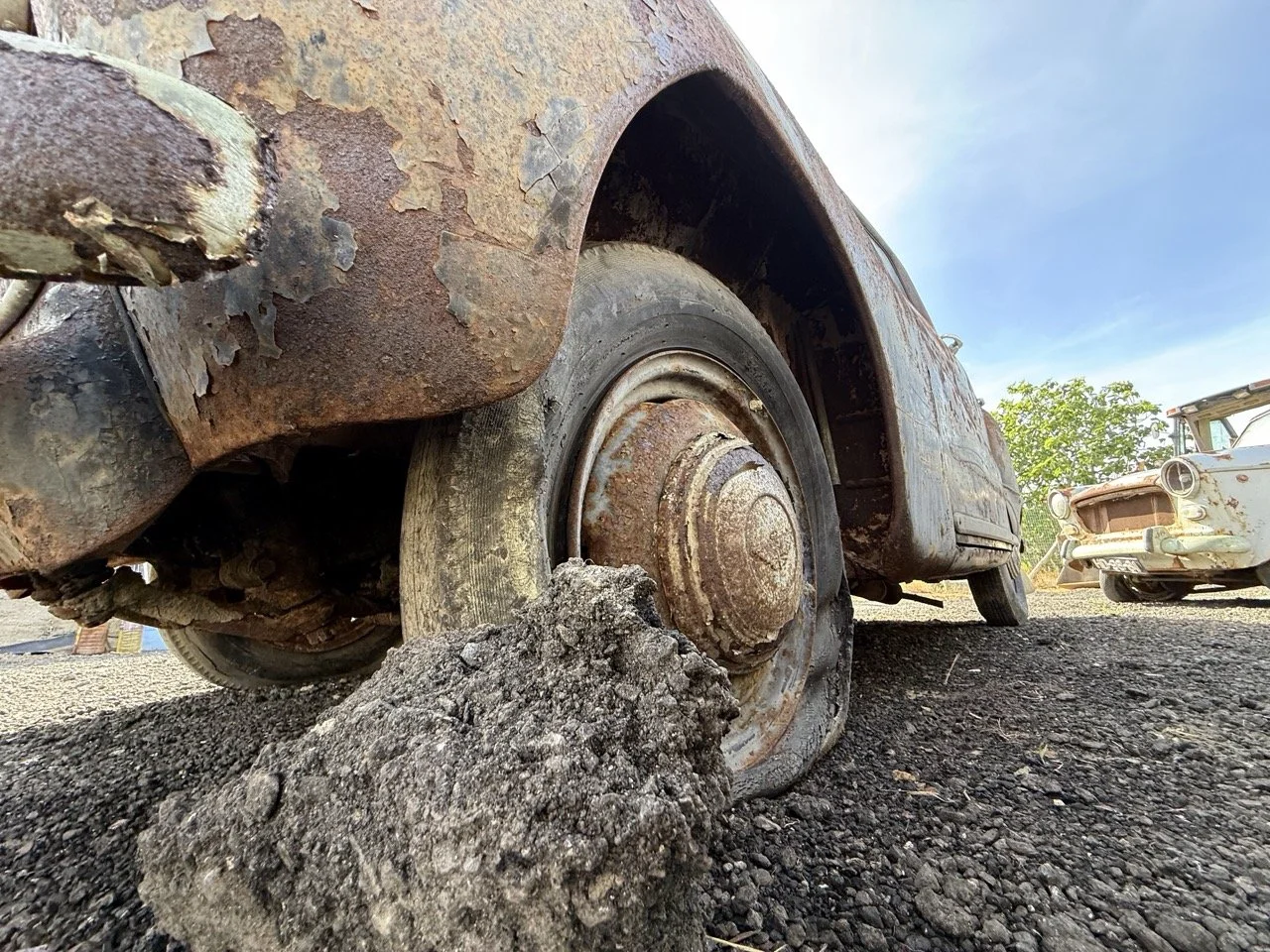 IMG_0448 – grande.jpeg