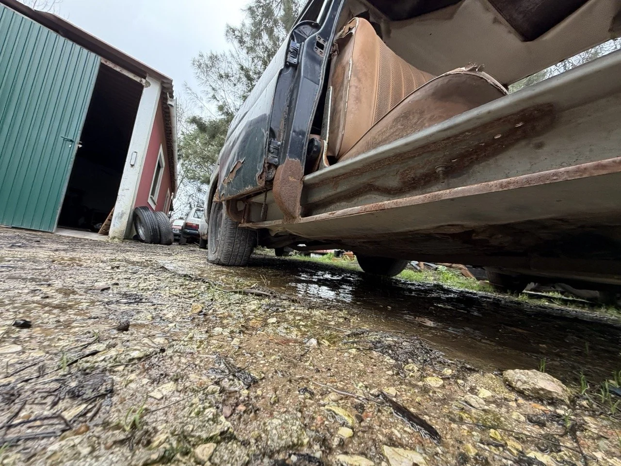 IMG_1943 – grande.jpeg