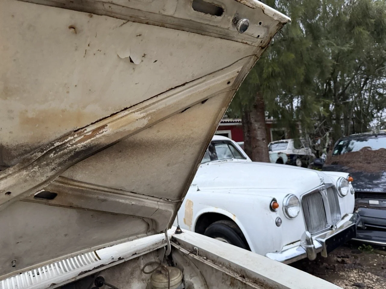 IMG_0162 – grande.jpeg