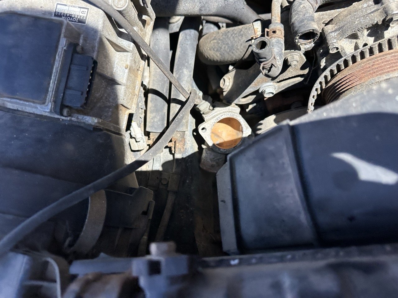 IMG_3084 – grande.jpeg