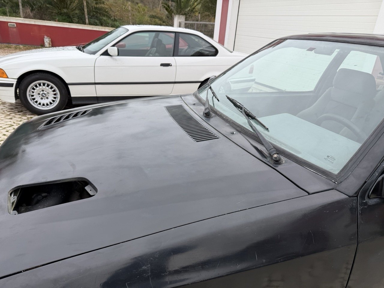 IMG_1294 – grande.jpeg