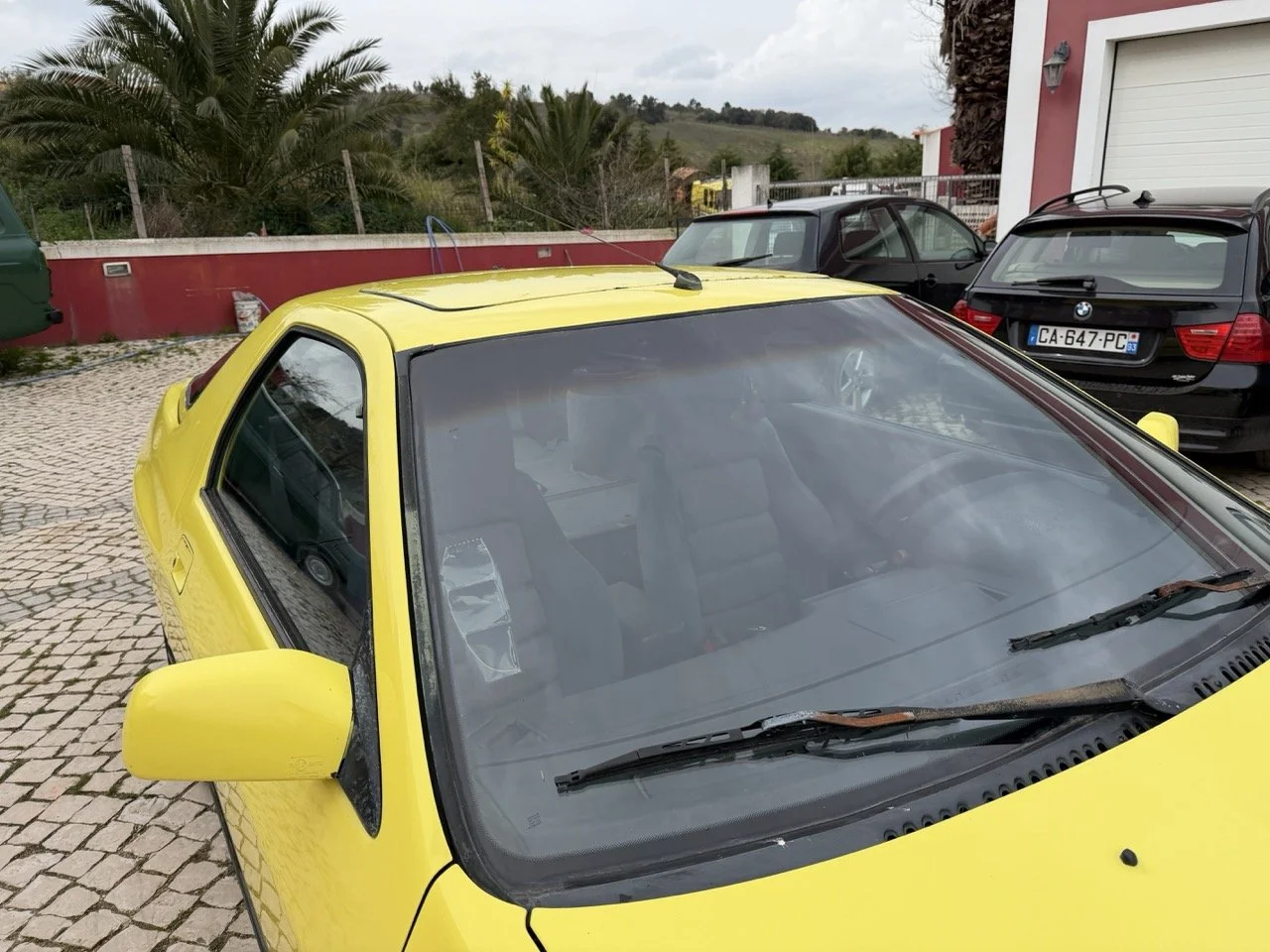 IMG_9769 – grande.jpeg