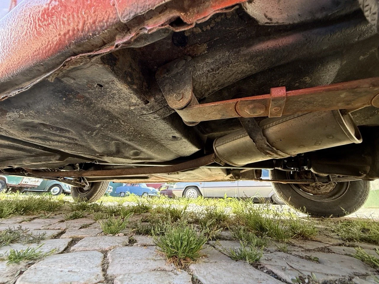 IMG_3663 – grande.jpeg