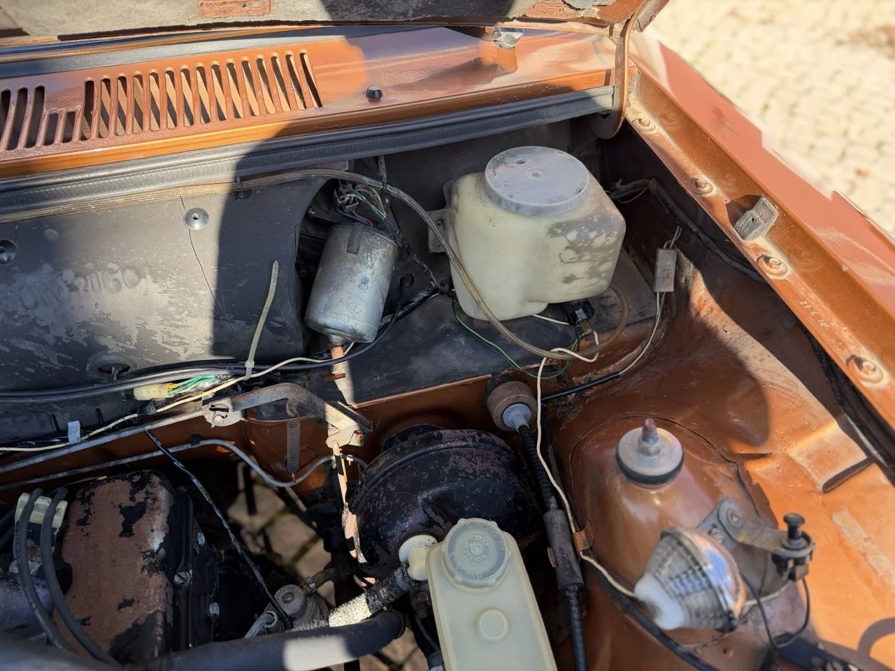 IMG_2397 – grande.jpeg