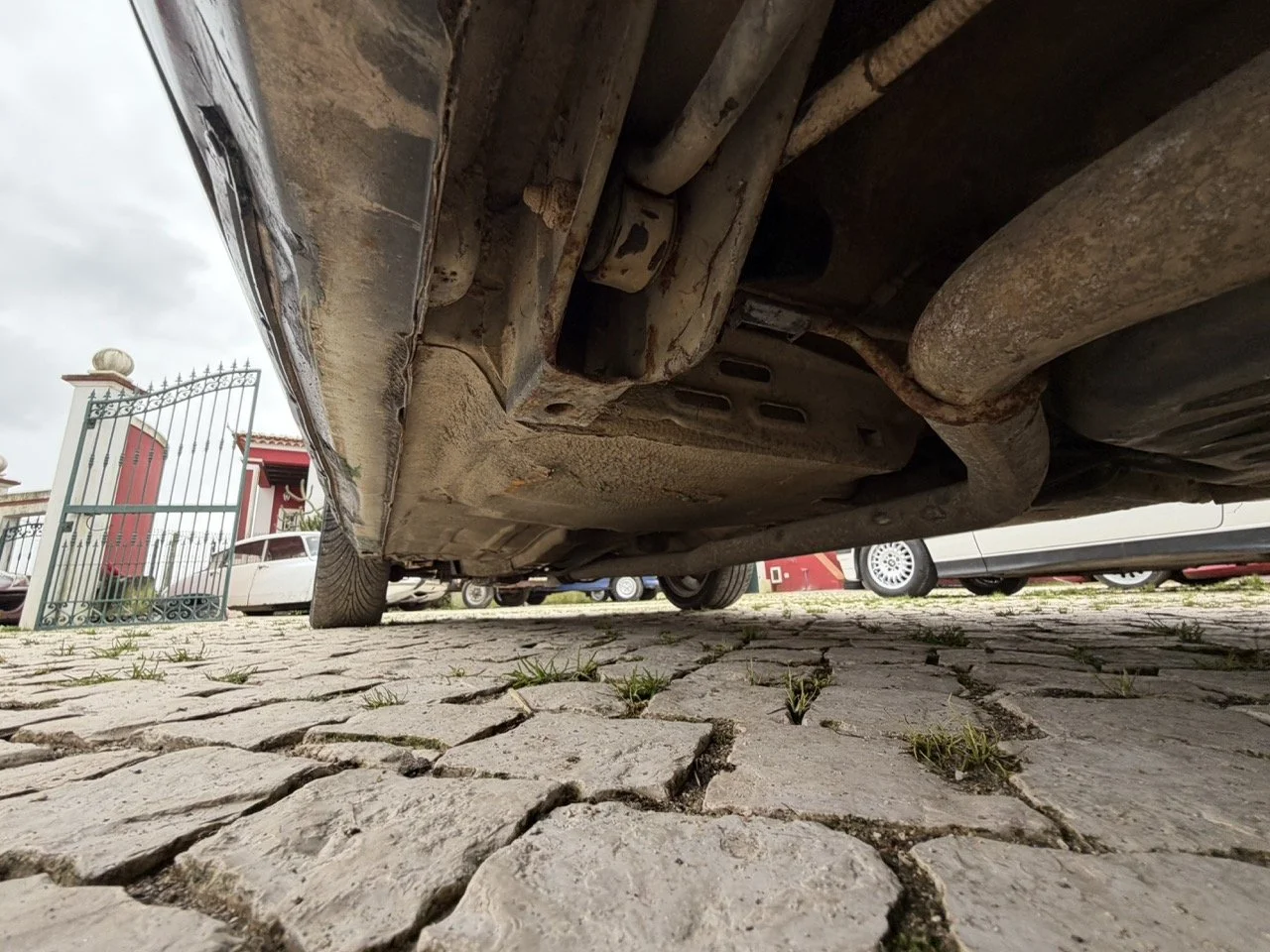 IMG_1333 – grande.jpeg