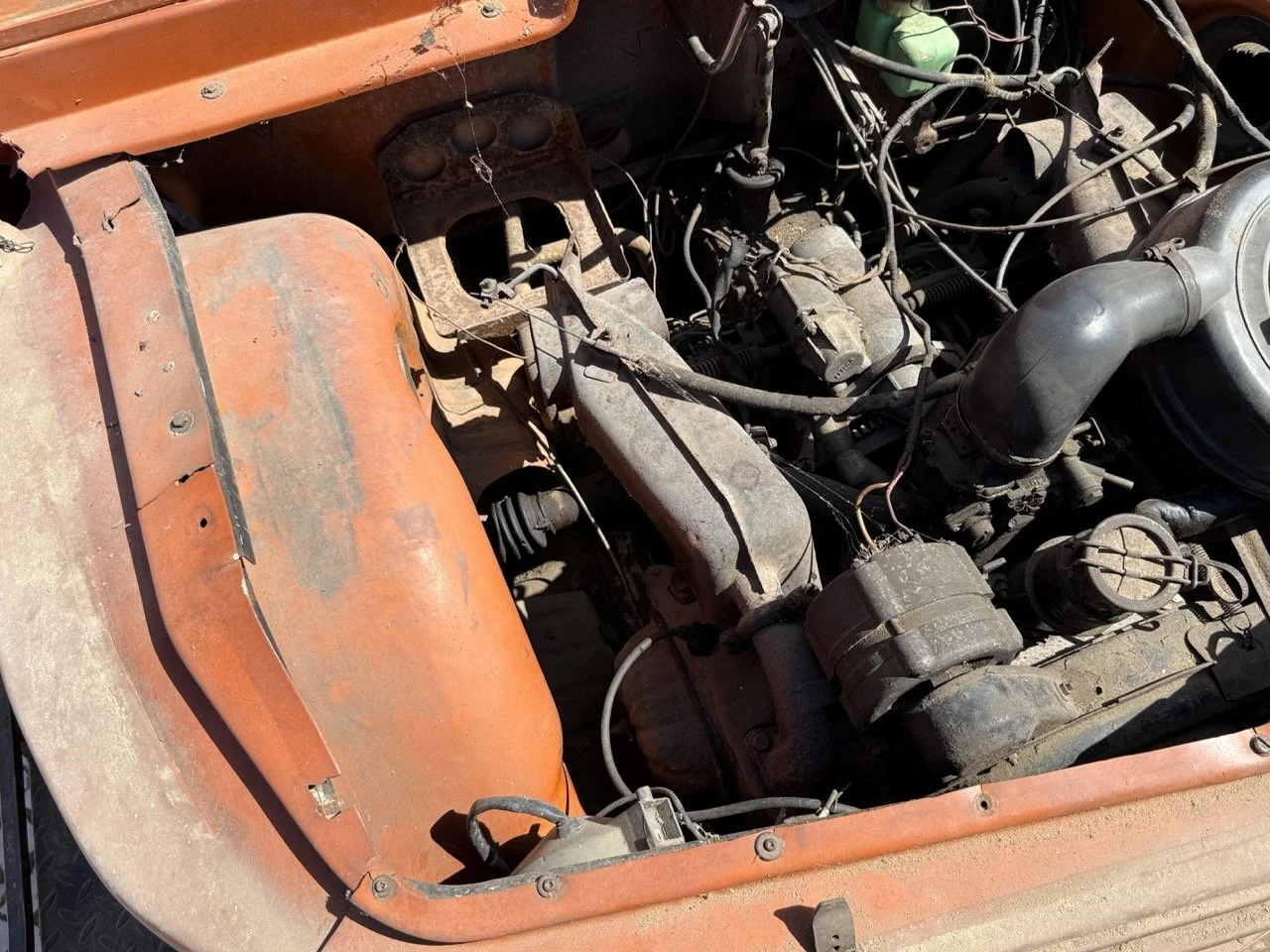 IMG_9071 – grande.jpeg