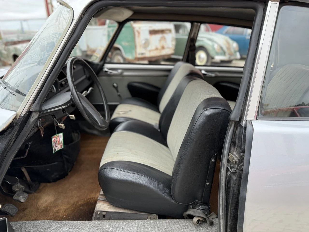 IMG_3695 – grande.jpeg