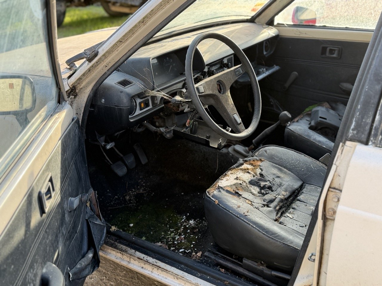 IMG_4026 – grande.jpeg