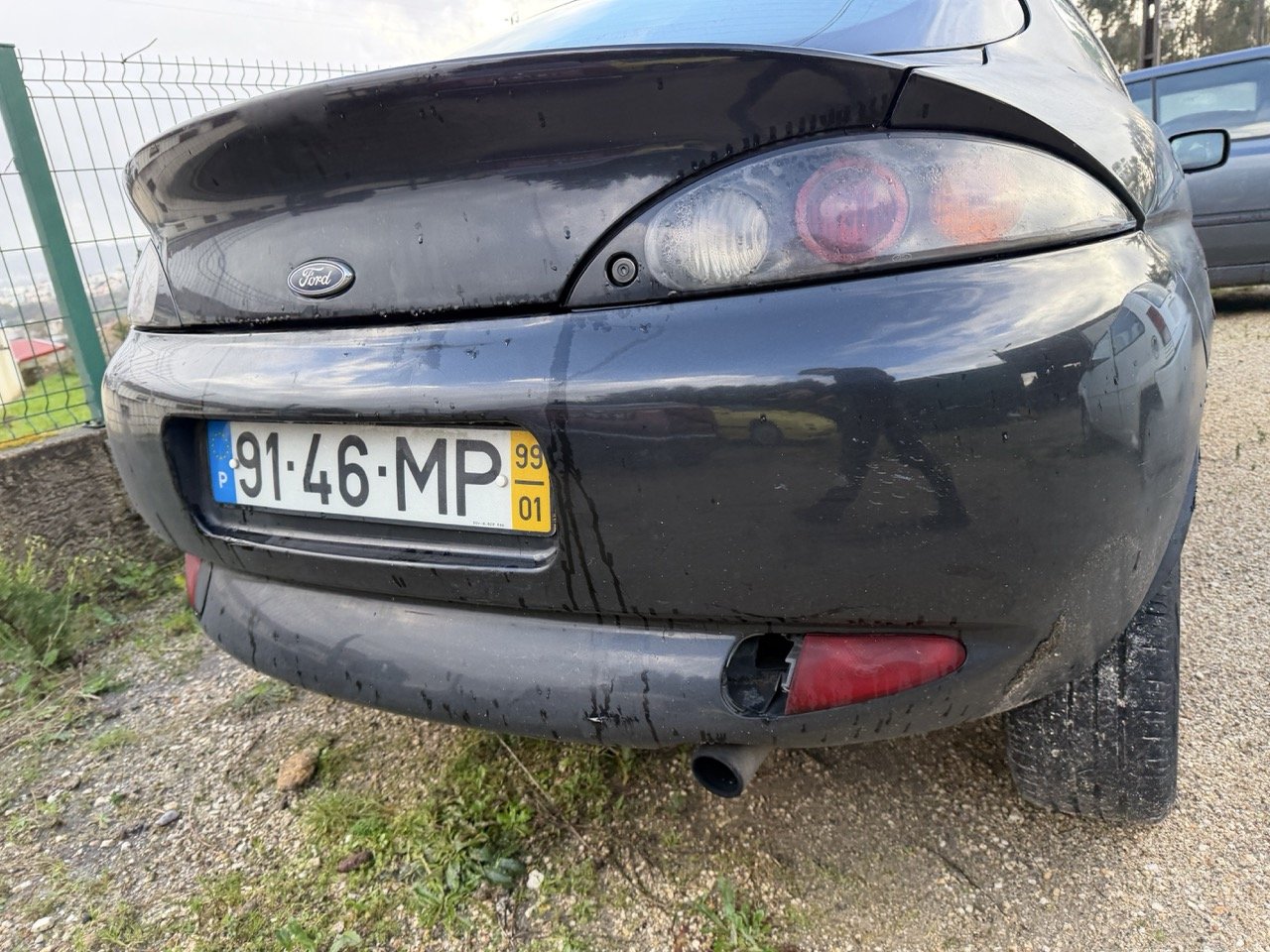 IMG_5332 – grande.jpeg