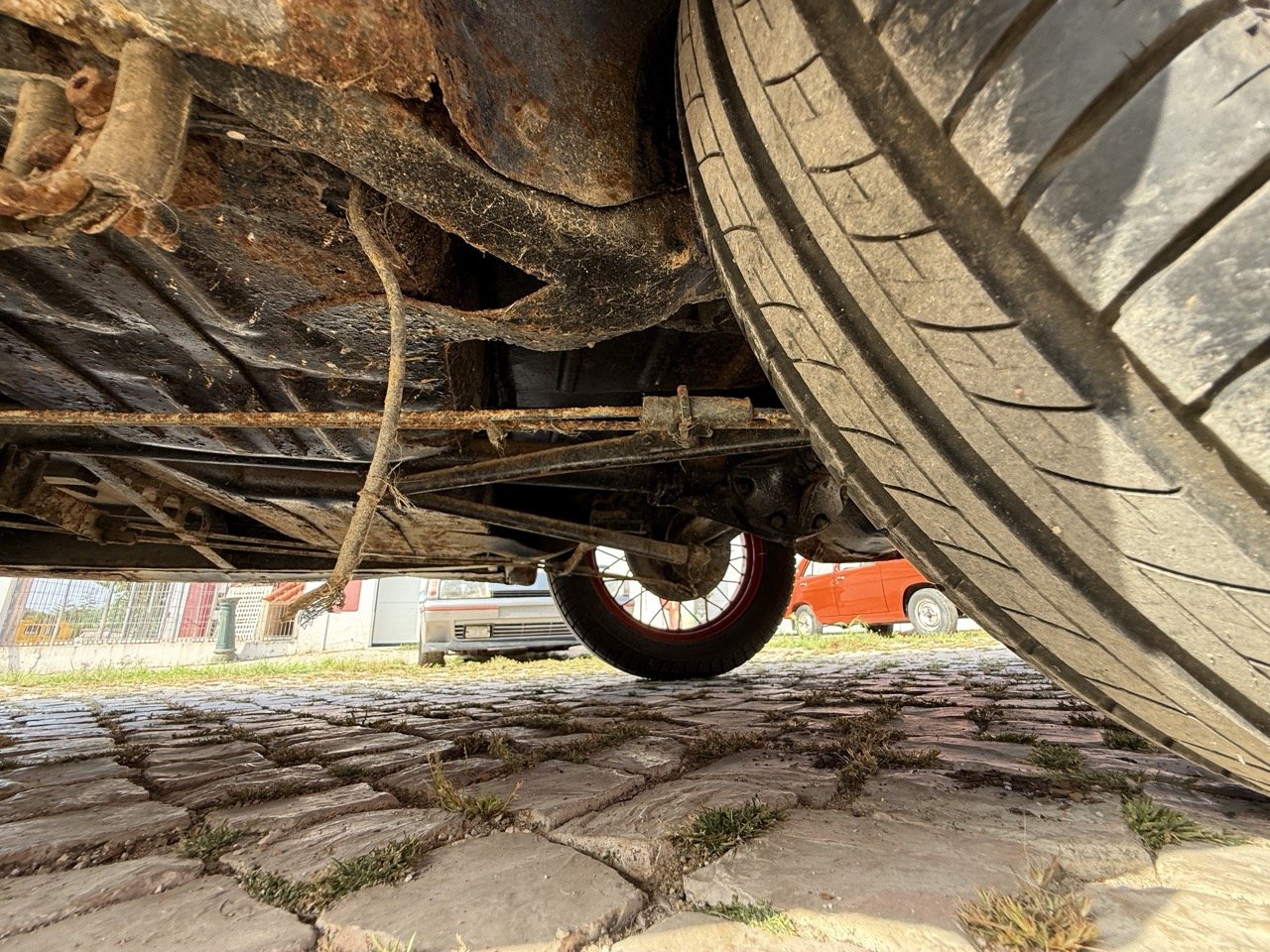 IMG_3738 – grande.jpeg