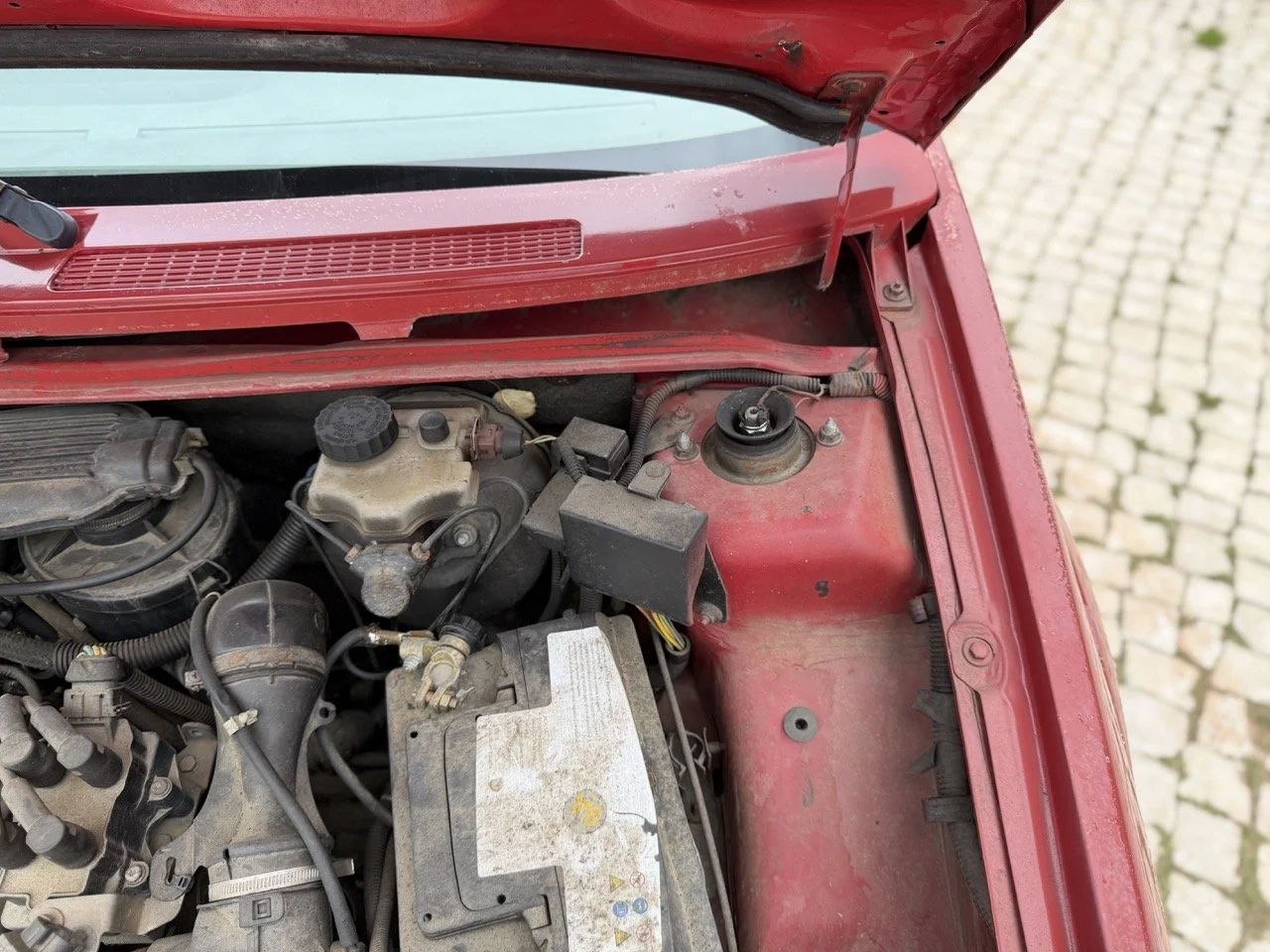 IMG_3602 – grande.jpeg