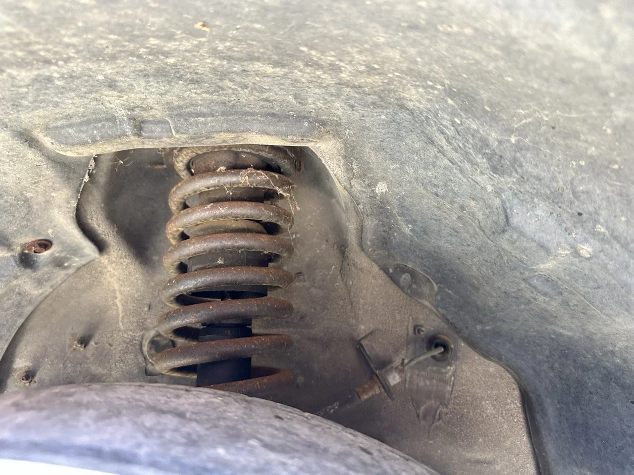 IMG_3118 – grande.jpeg