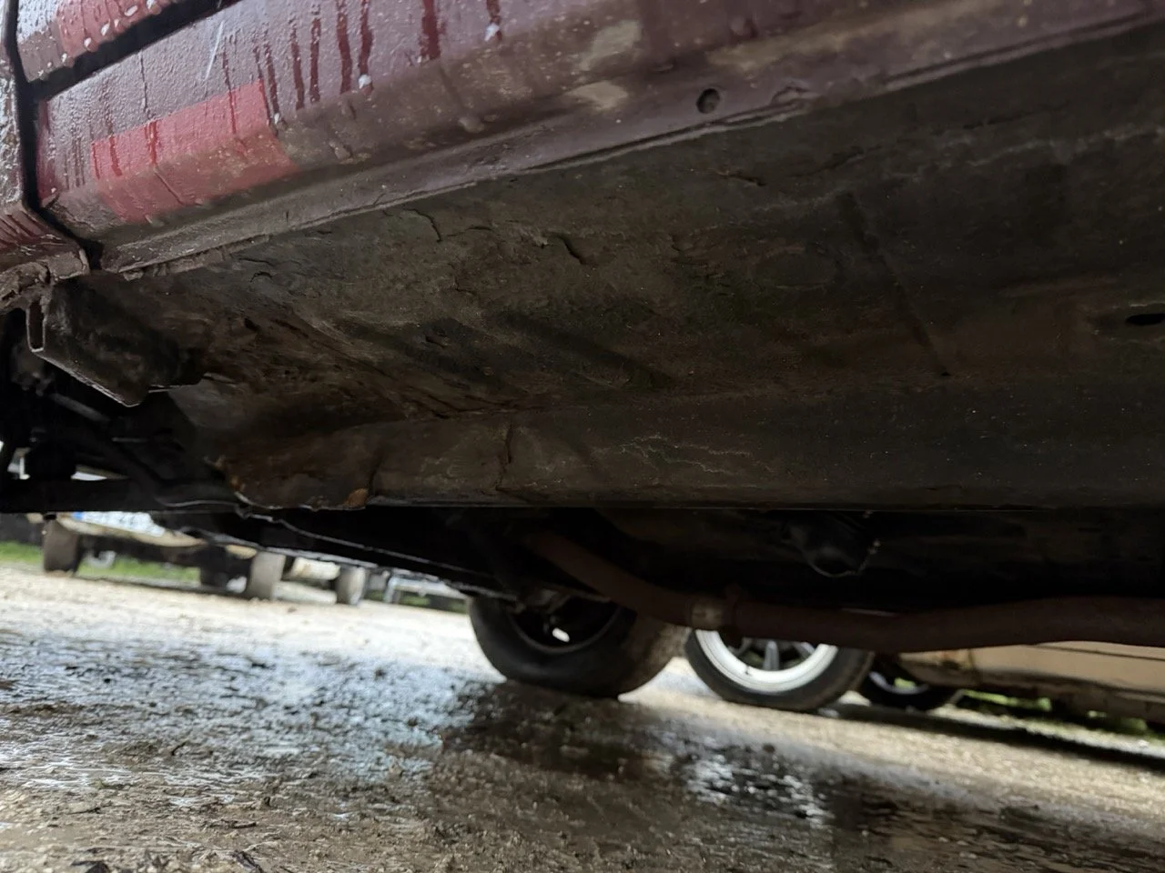 IMG_0291 – grande.jpeg