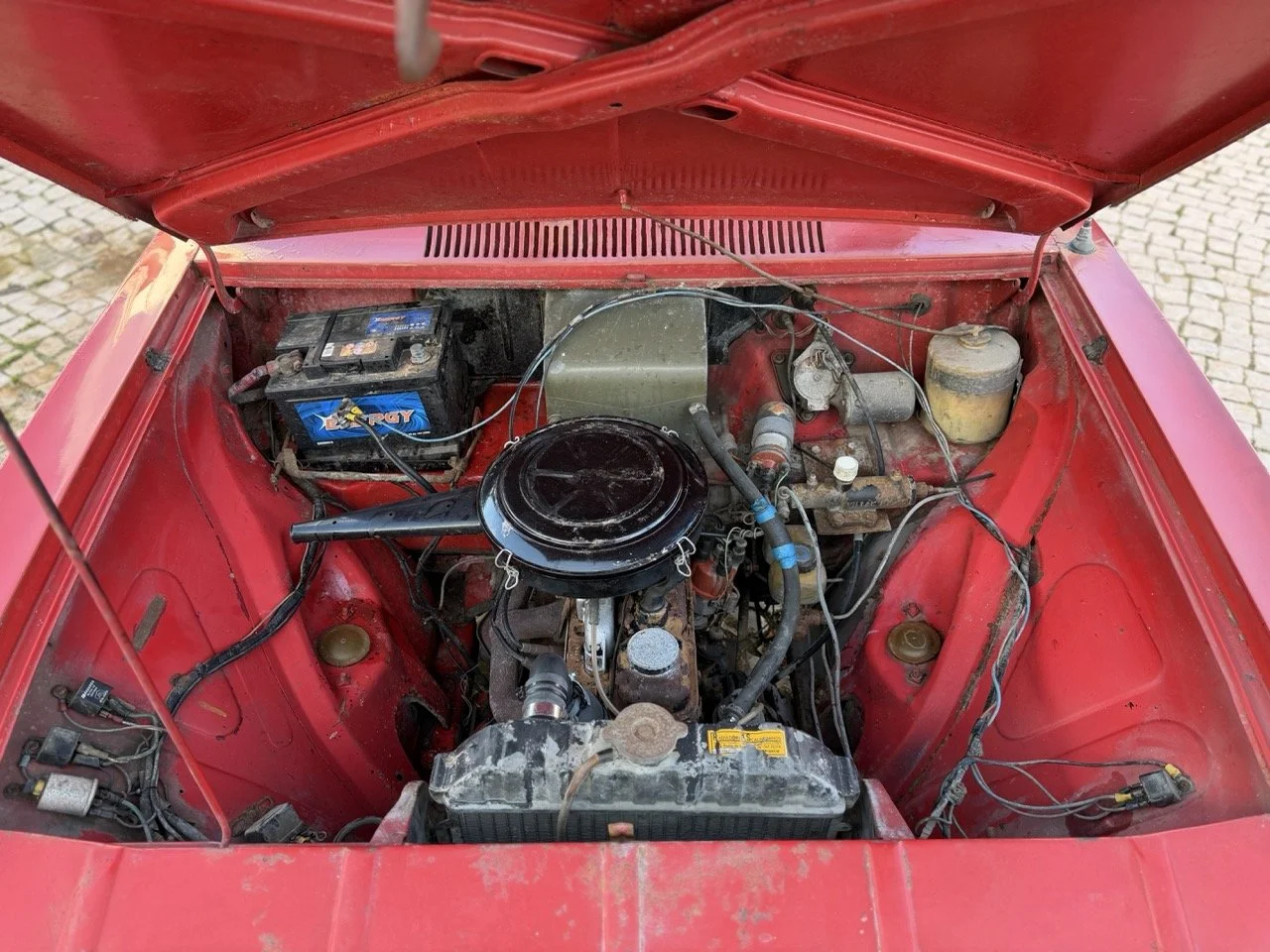 IMG_7724 – grande.jpeg