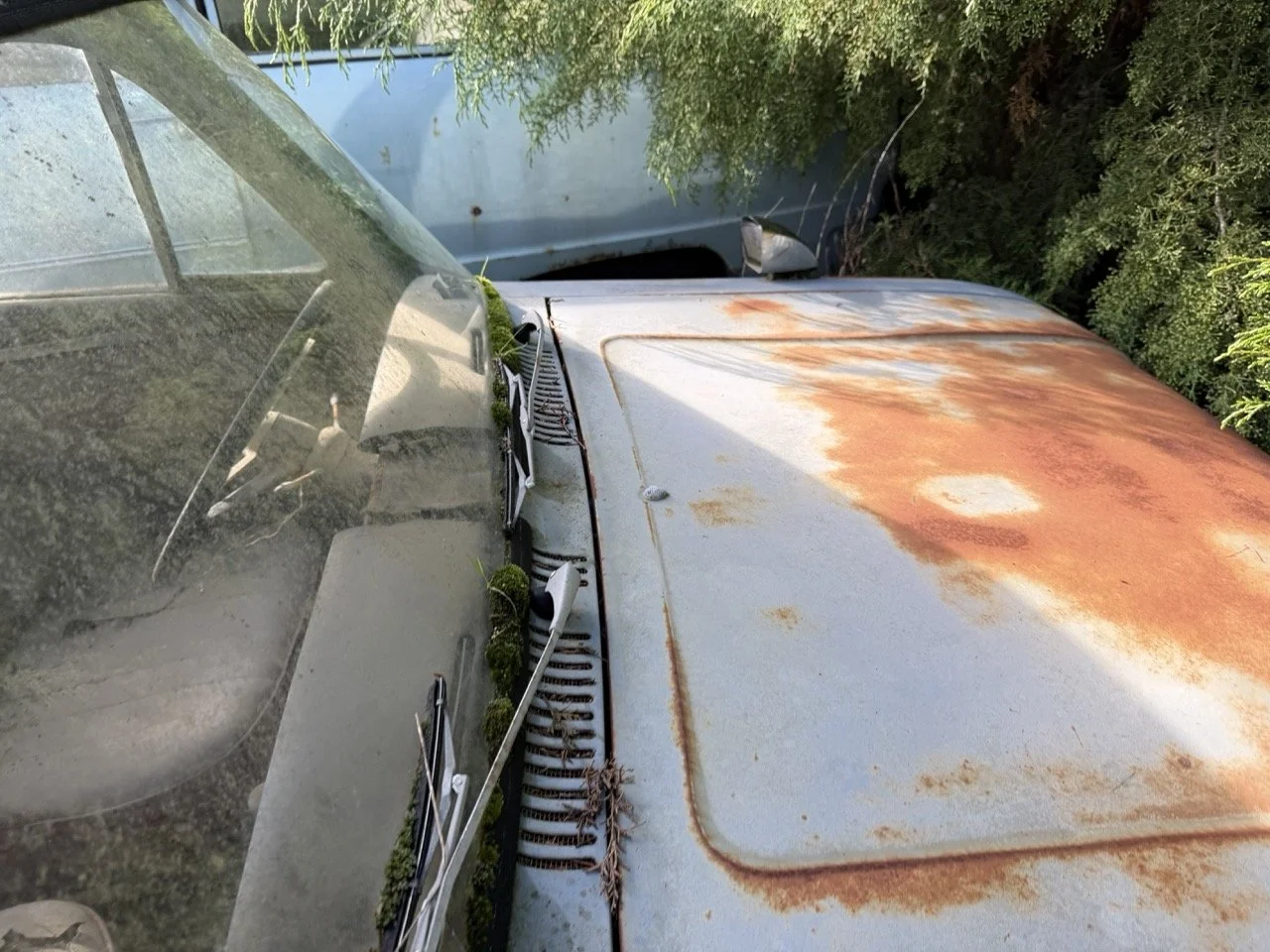 IMG_8557 – grande.jpeg