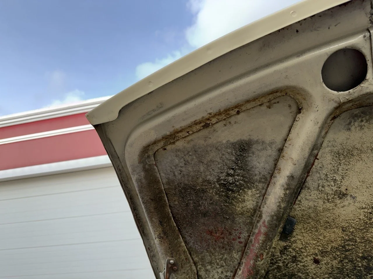 IMG_4077 – grande.jpeg