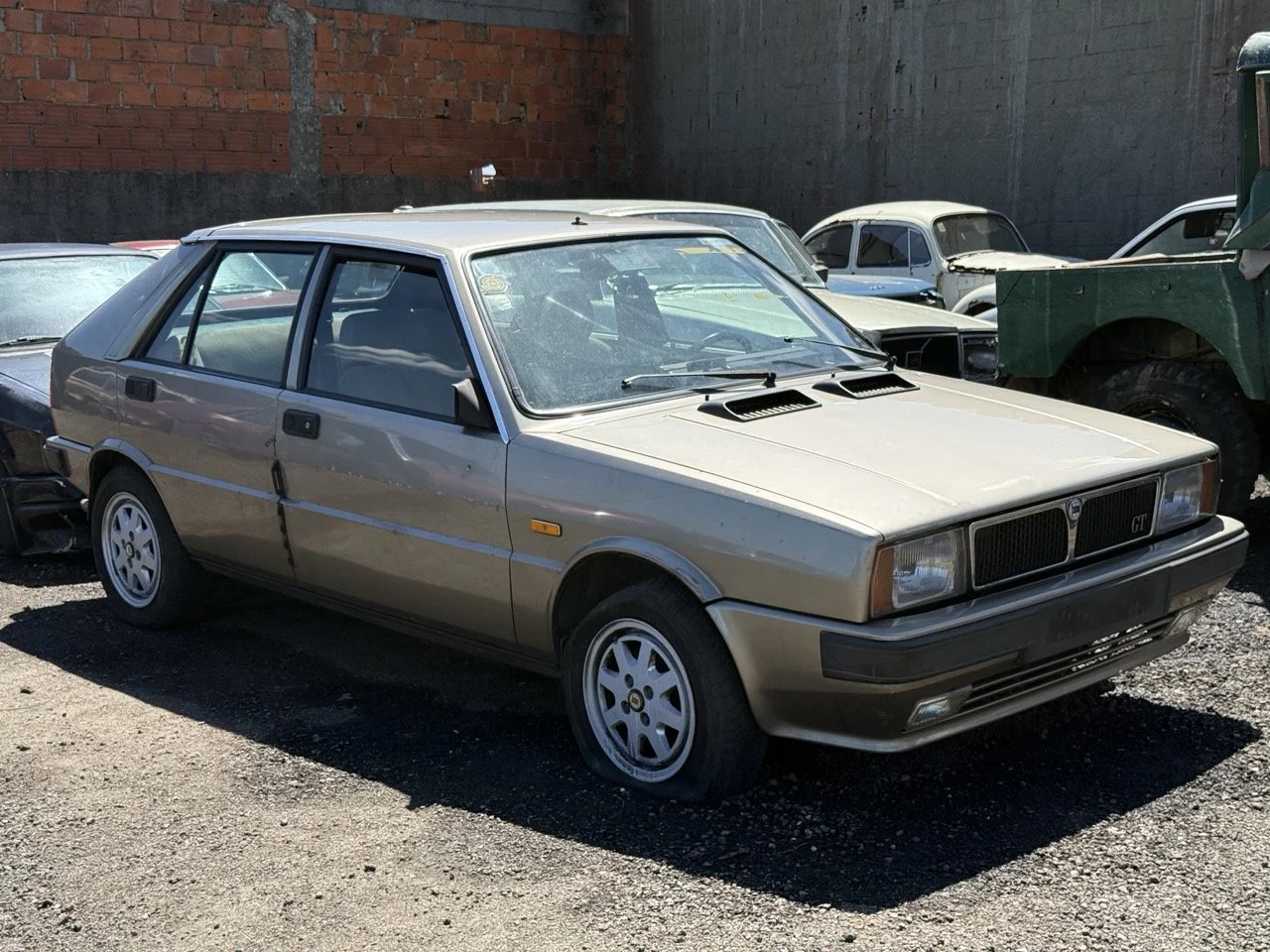 IMG_1866 – grande.jpeg