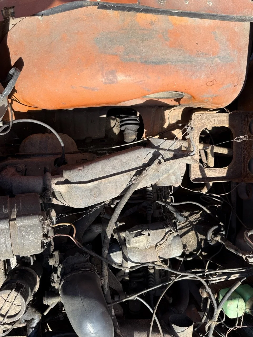 IMG_9074 – grande.jpeg