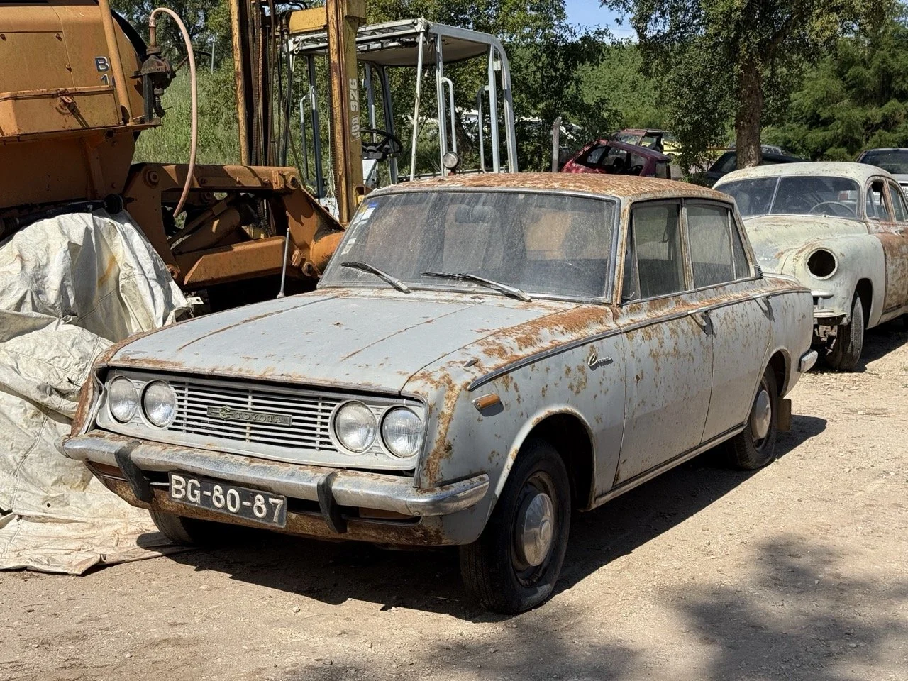 IMG_3222 – grande.jpeg