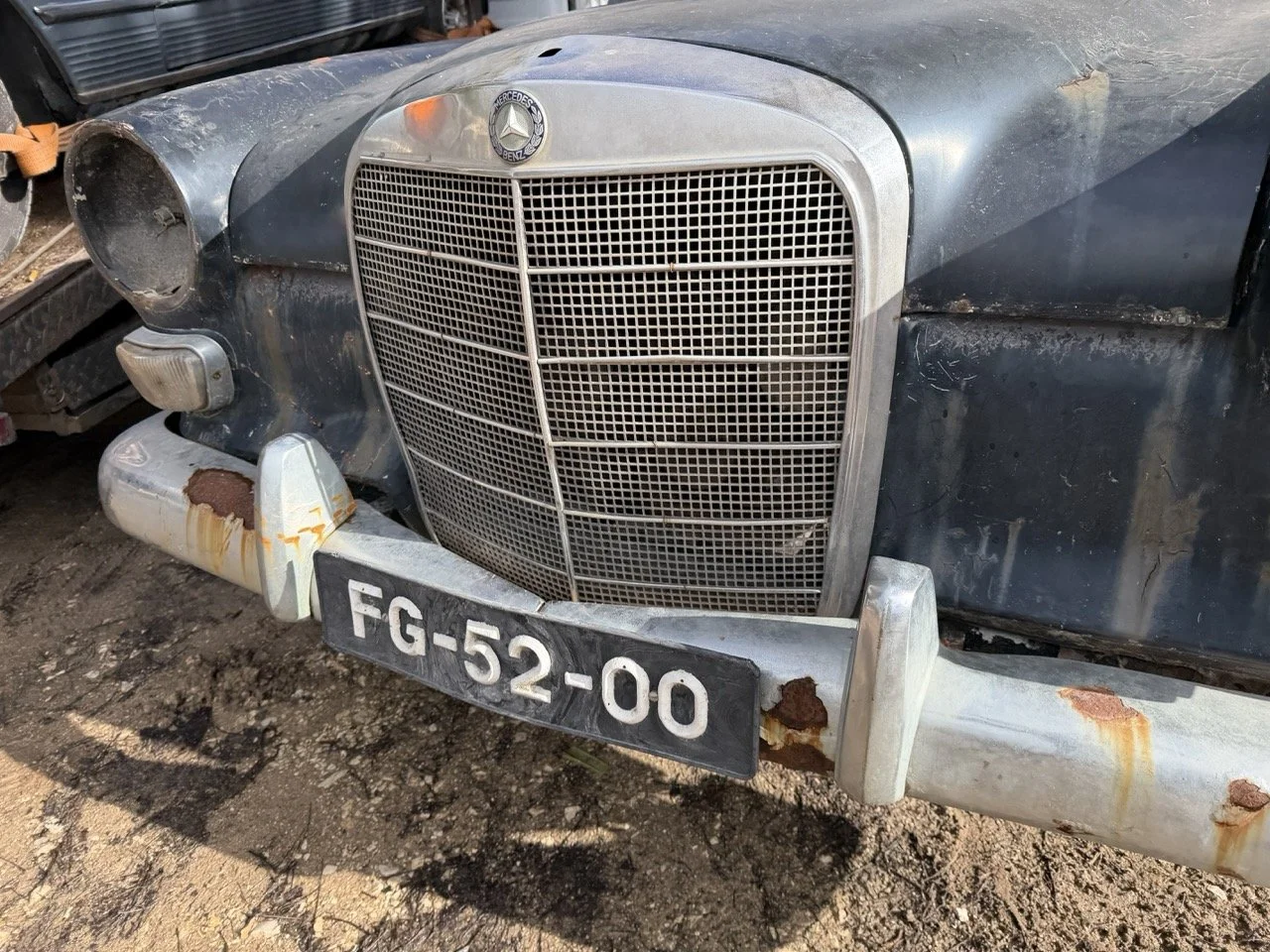 IMG_5244 – grande.jpeg