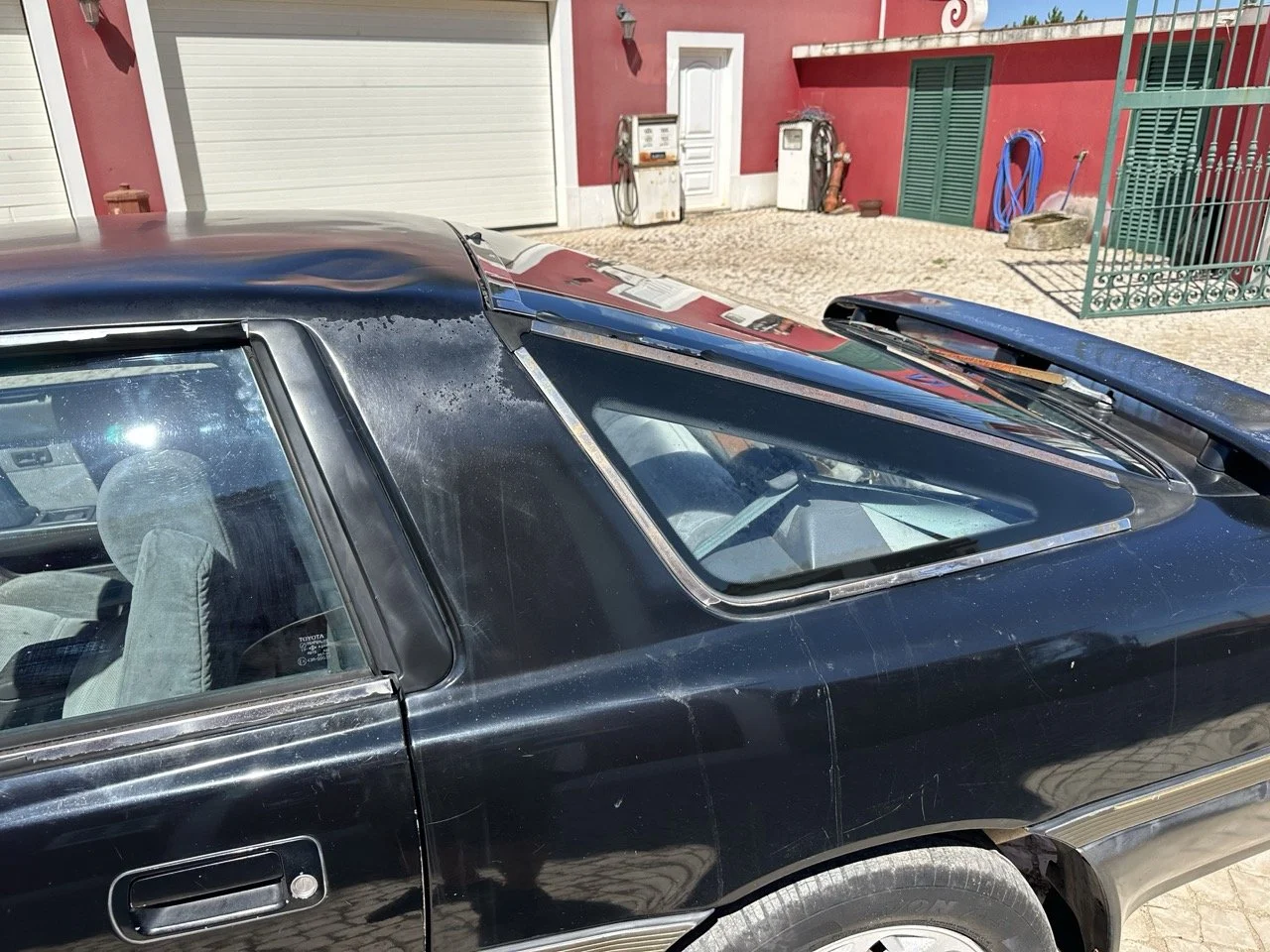 IMG_3166 – grande.jpeg