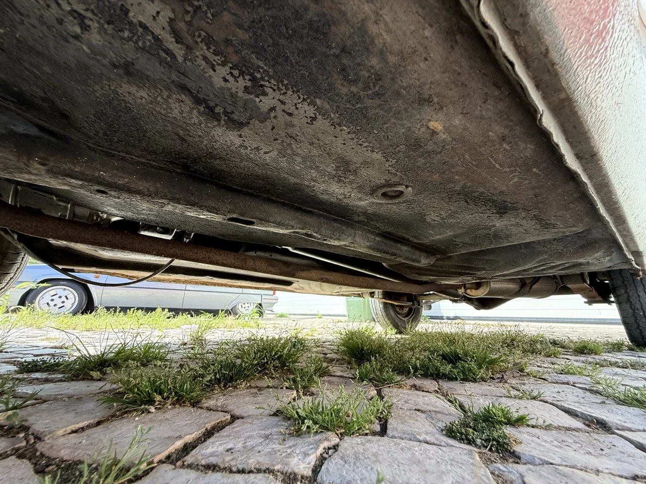 IMG_3661 – grande.jpeg