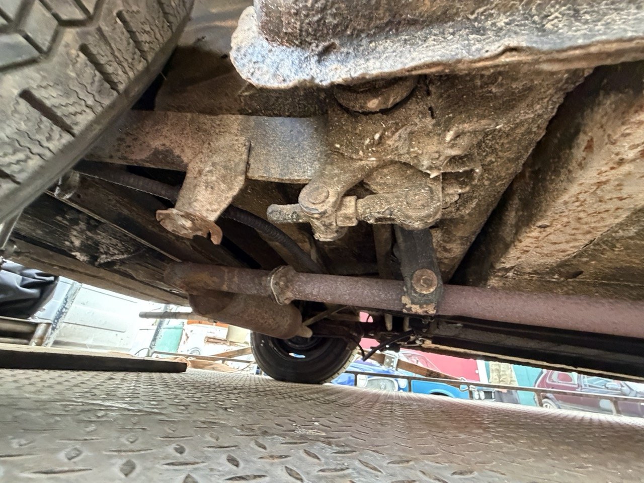 IMG_1897 – grande.jpeg