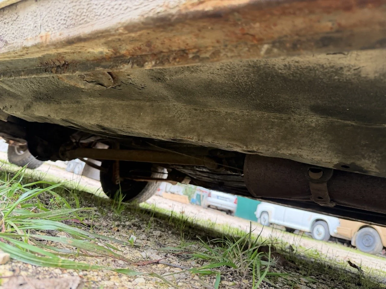 IMG_4907 – grande.jpeg