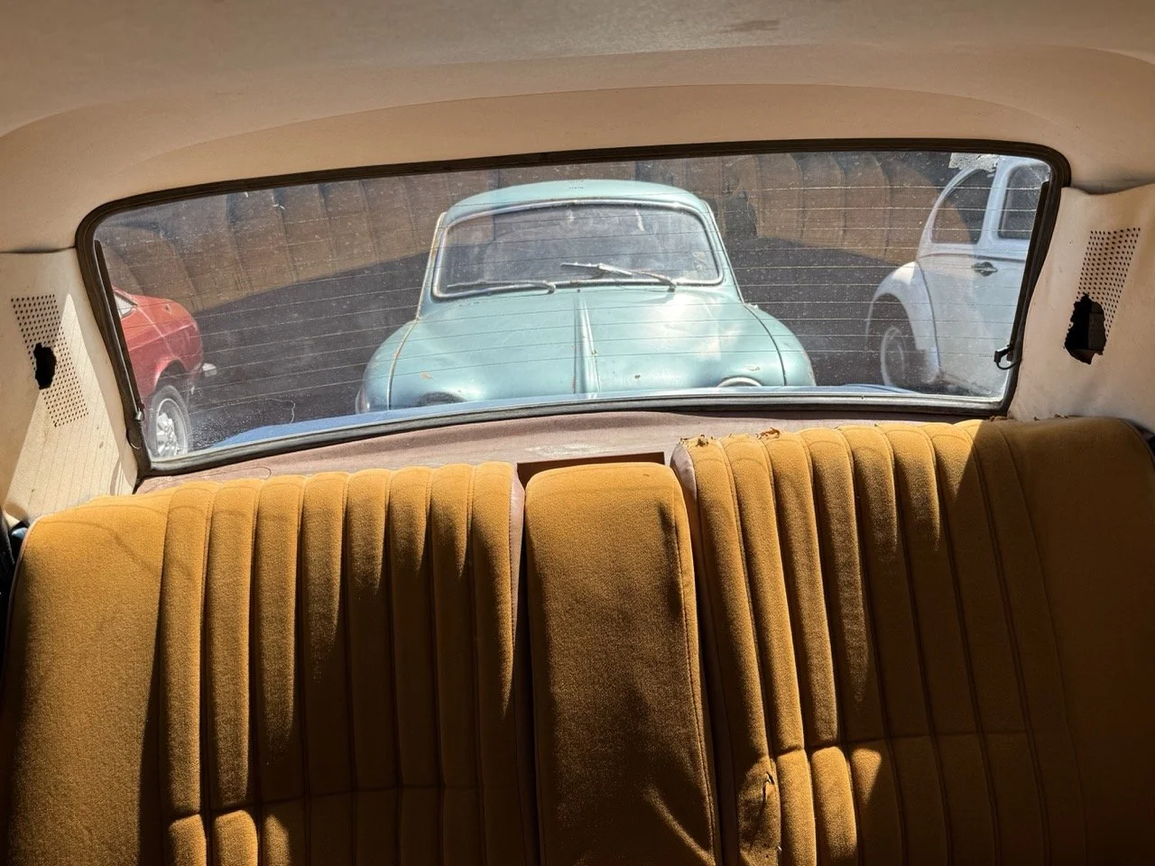 IMG_0747 – grande.jpeg