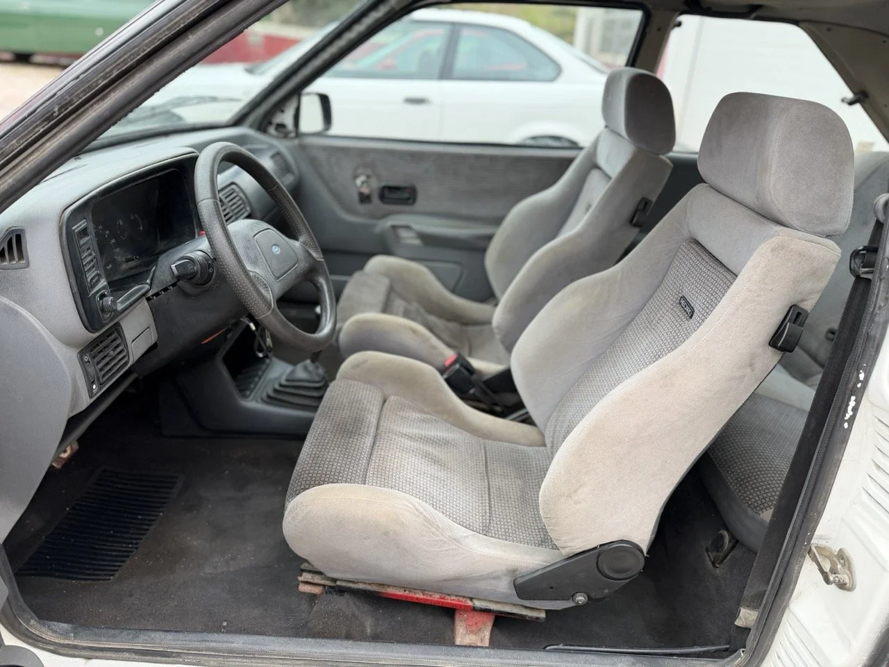 IMG_1264 – grande.jpeg