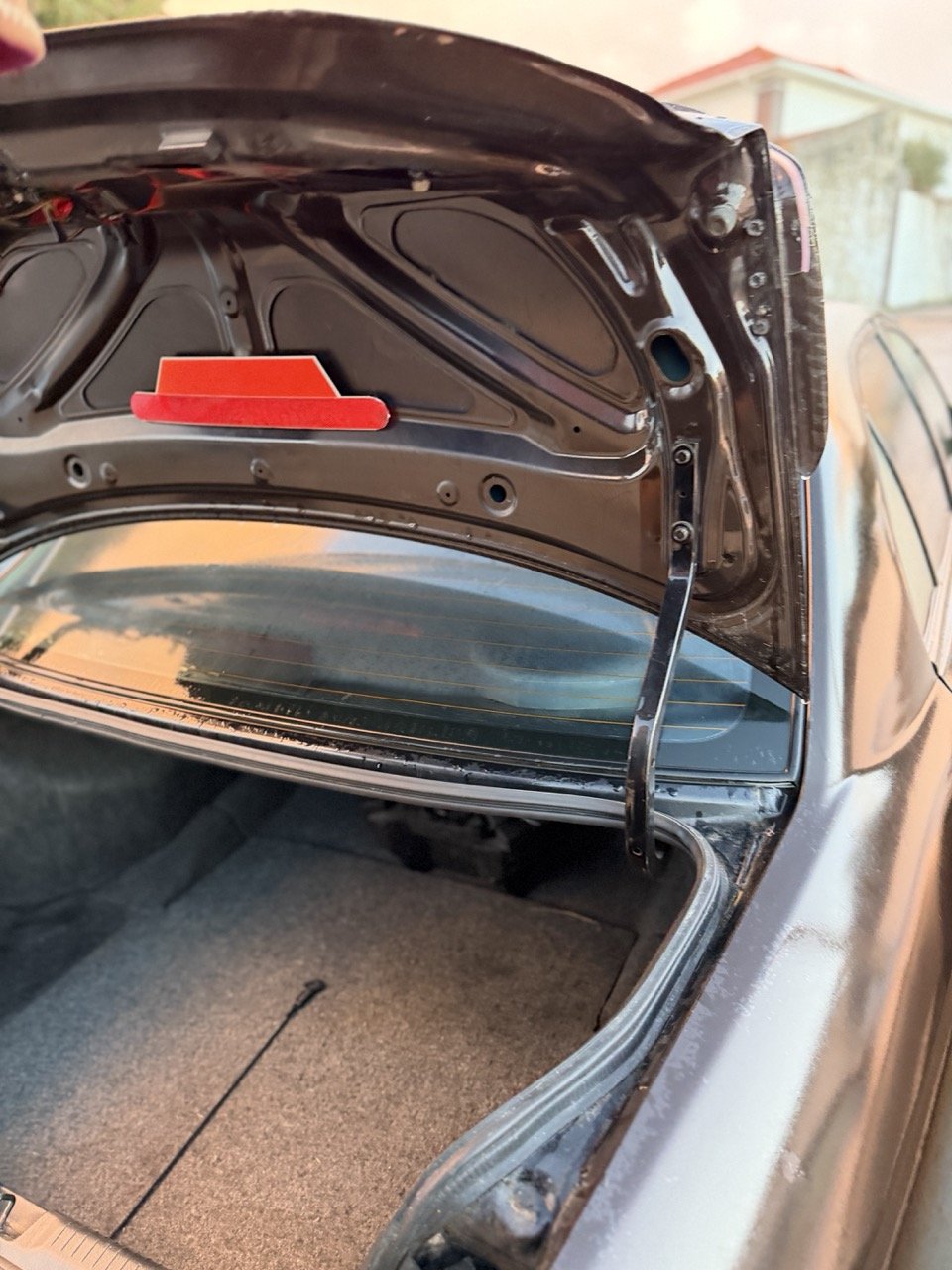 IMG_3720 – grande.jpeg