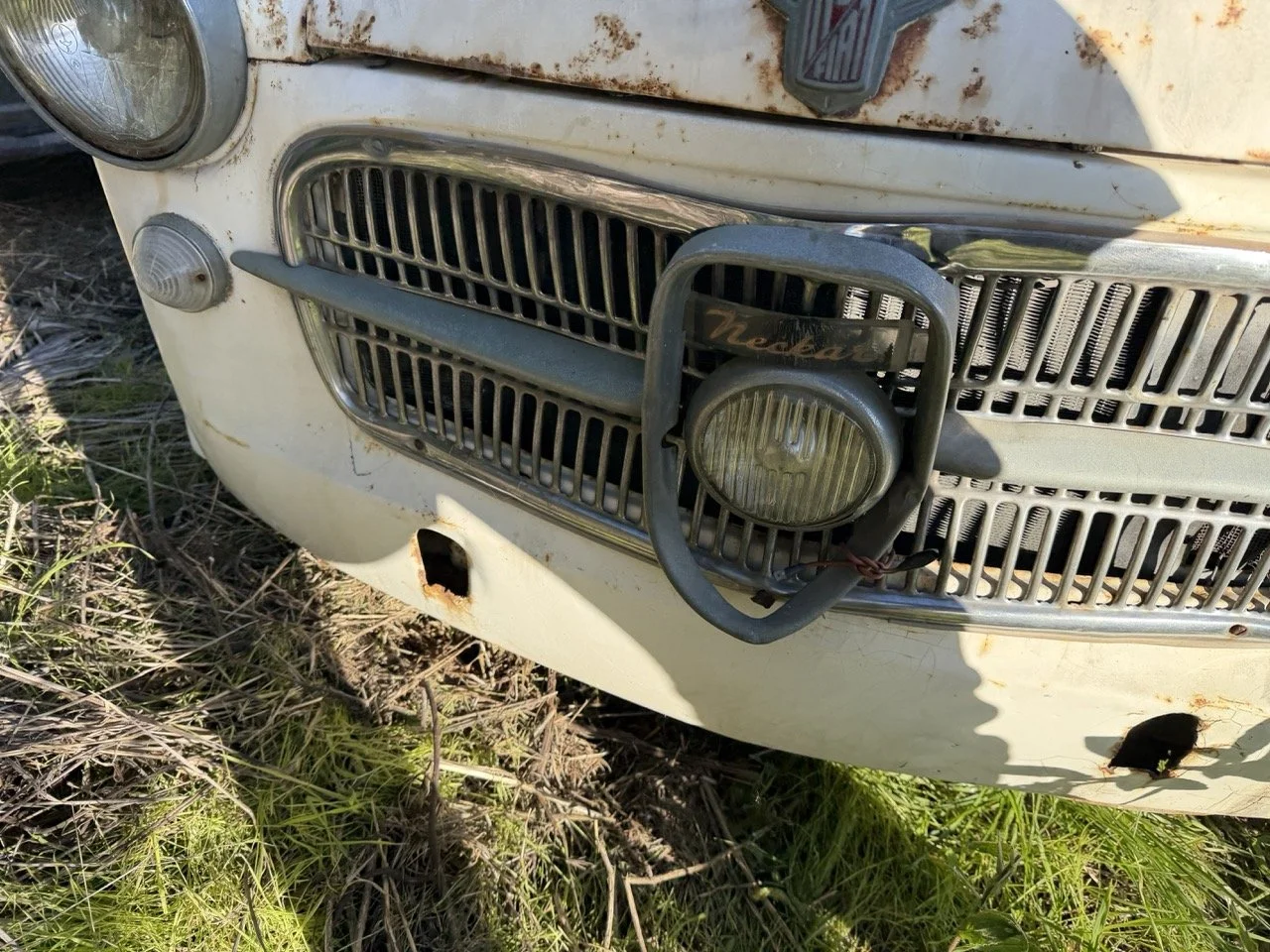 IMG_2524 – grande.jpeg